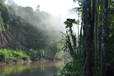 1342179310_South-America--Peru--Amazon-Rainforest-01.jpg