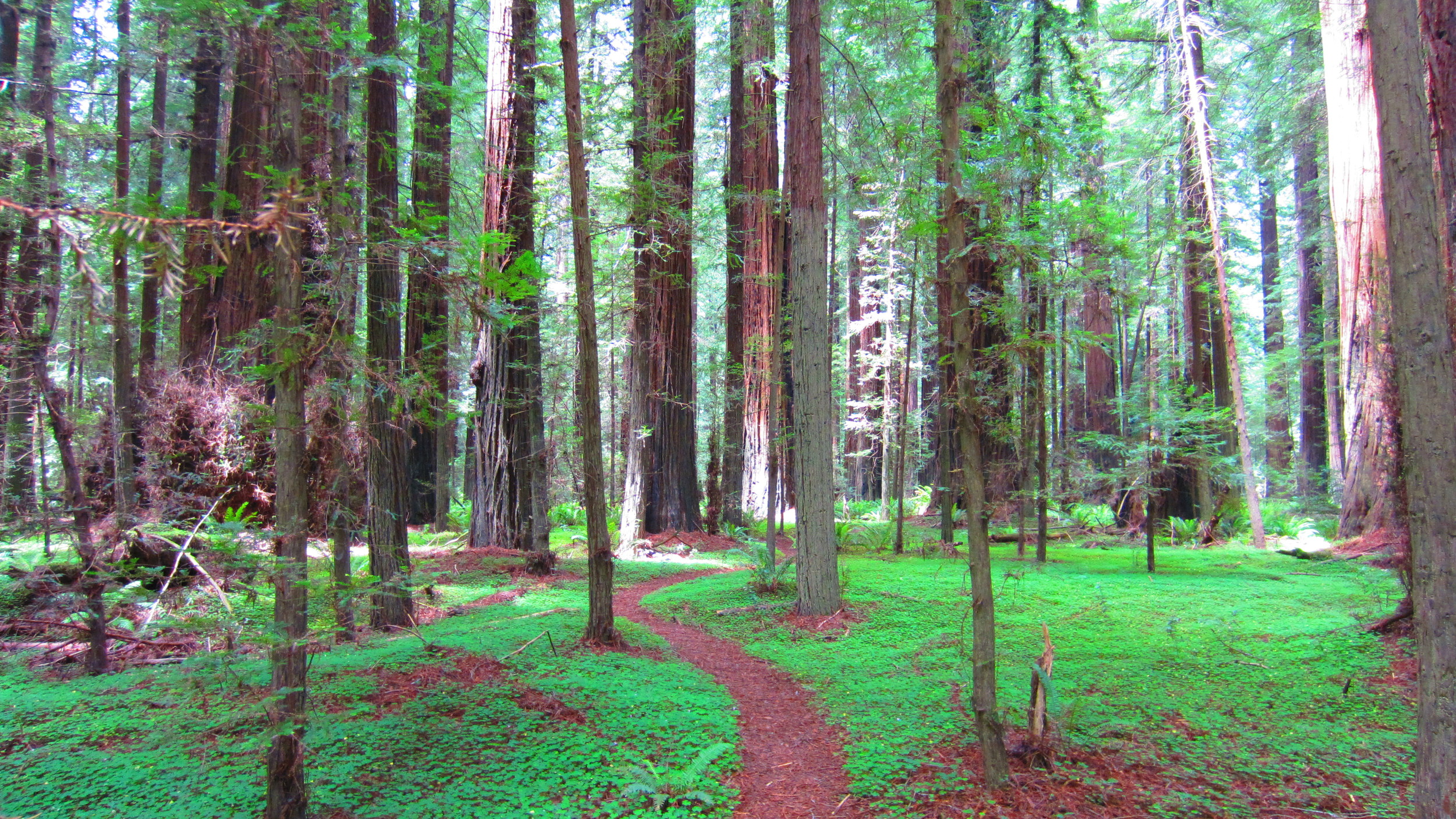 IMG_0153.JPG