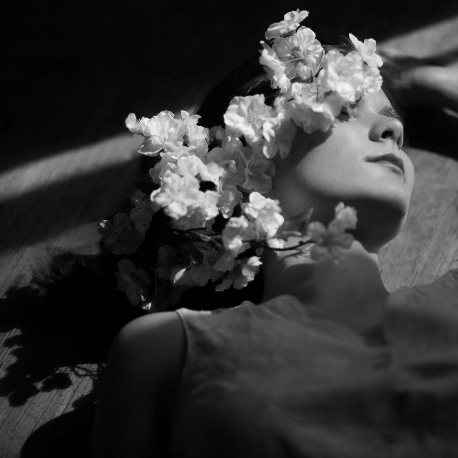 Susan_Holstein_Website17.jpg