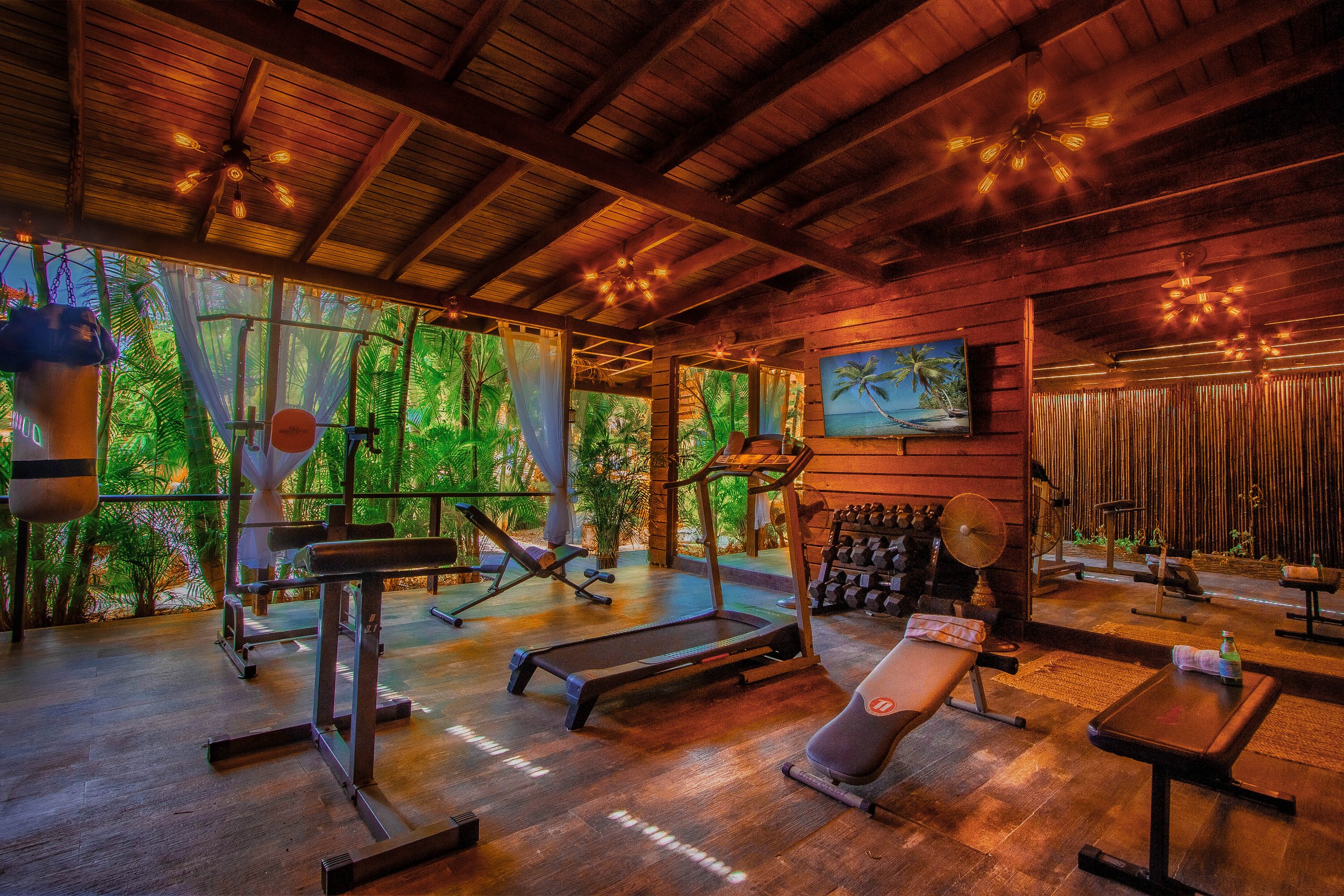 Private gym with treadmill, Smart TV, benches and weights