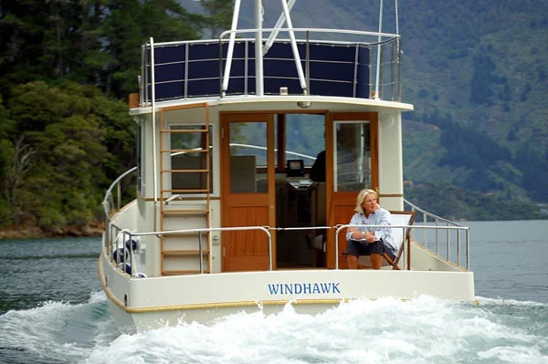 Windhawk6.jpg