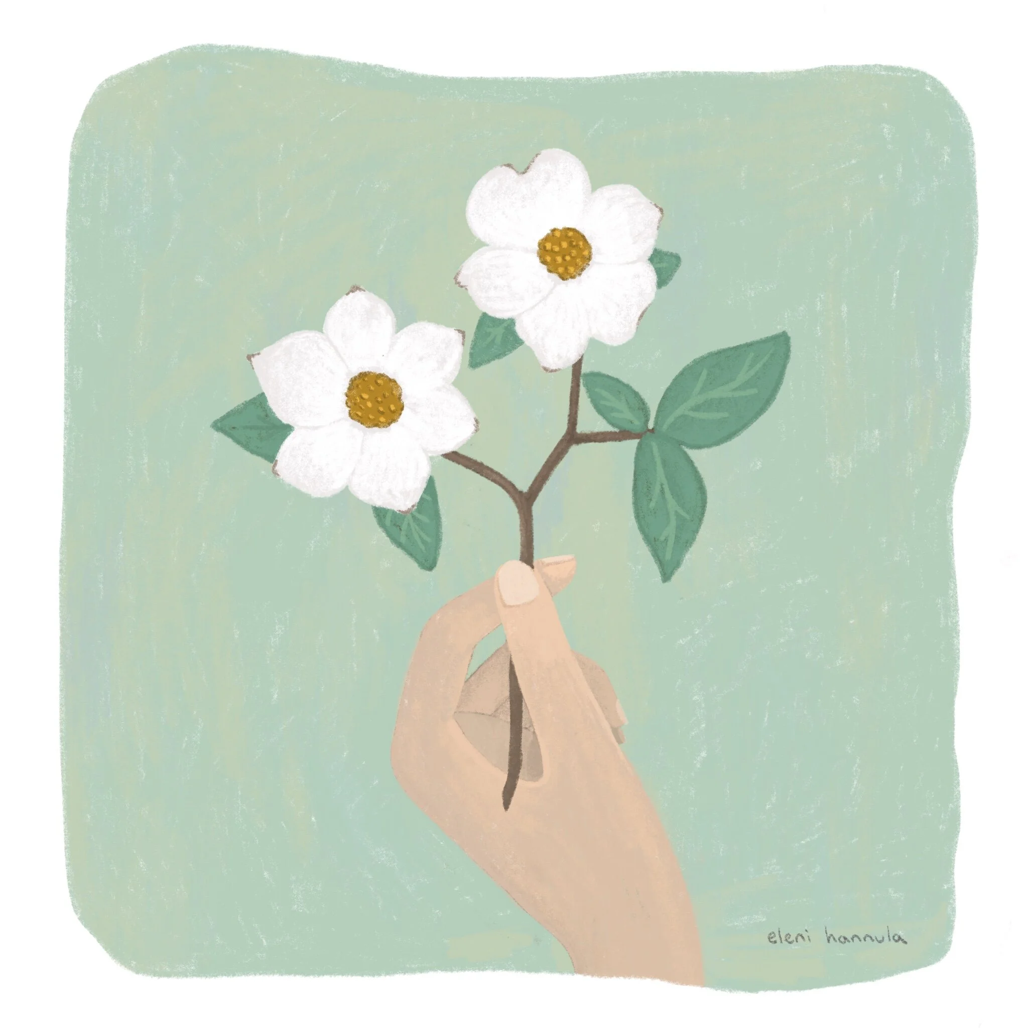 Dogwood copy.jpg