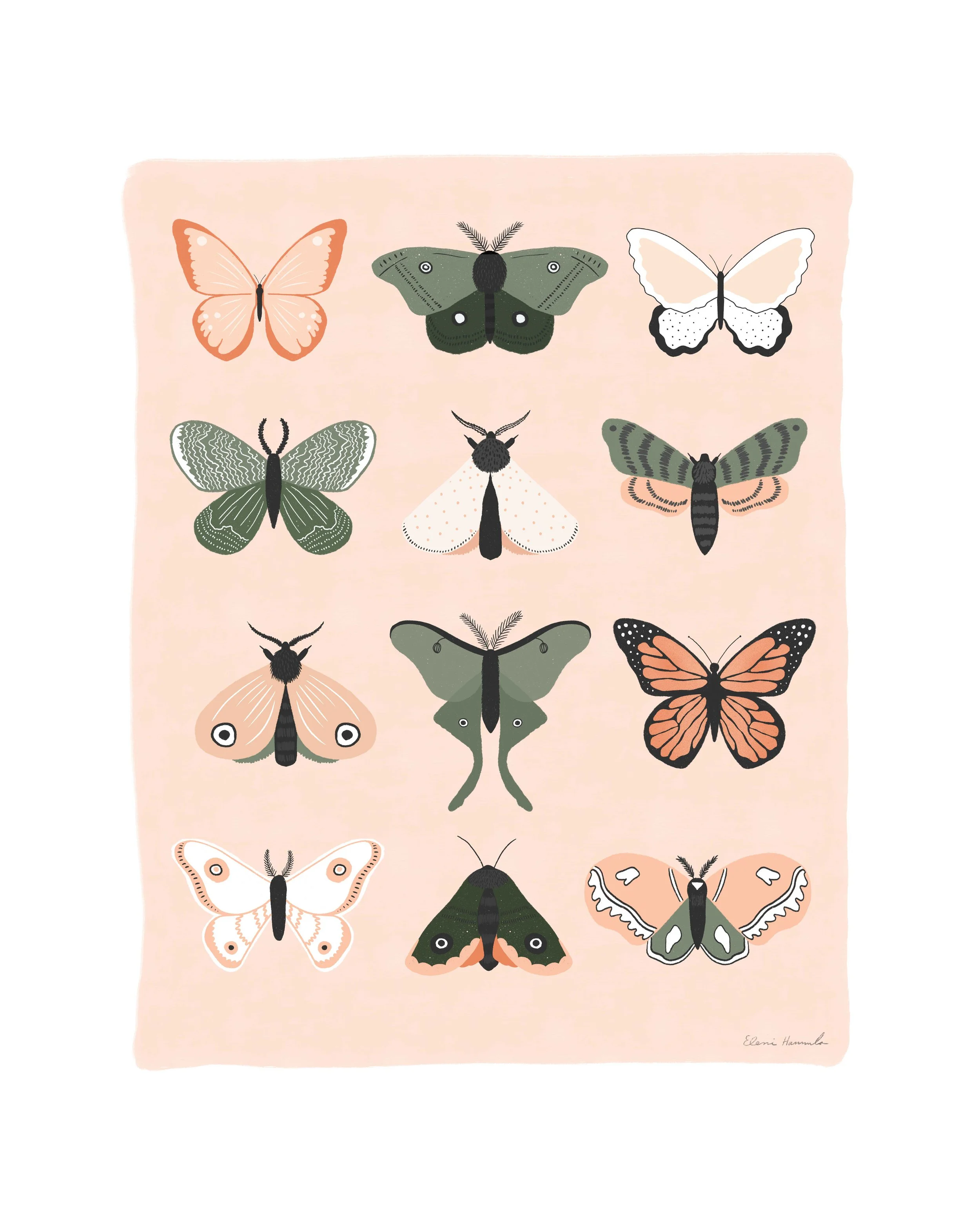 Butterfly_icon.jpg