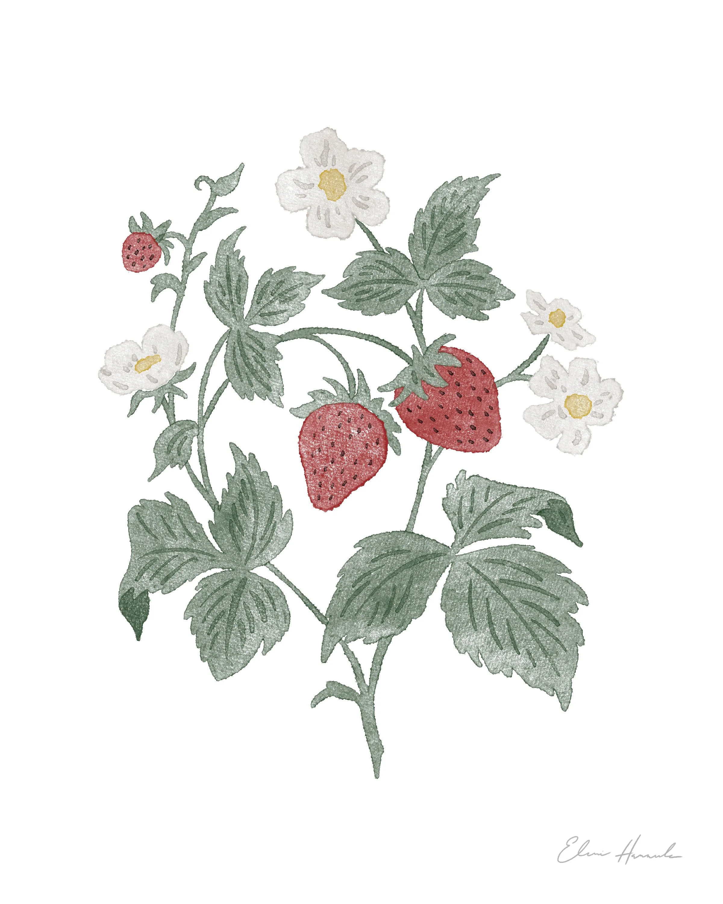 Printful_8x10_RGB_strawberry-watercolor_WEB.jpg