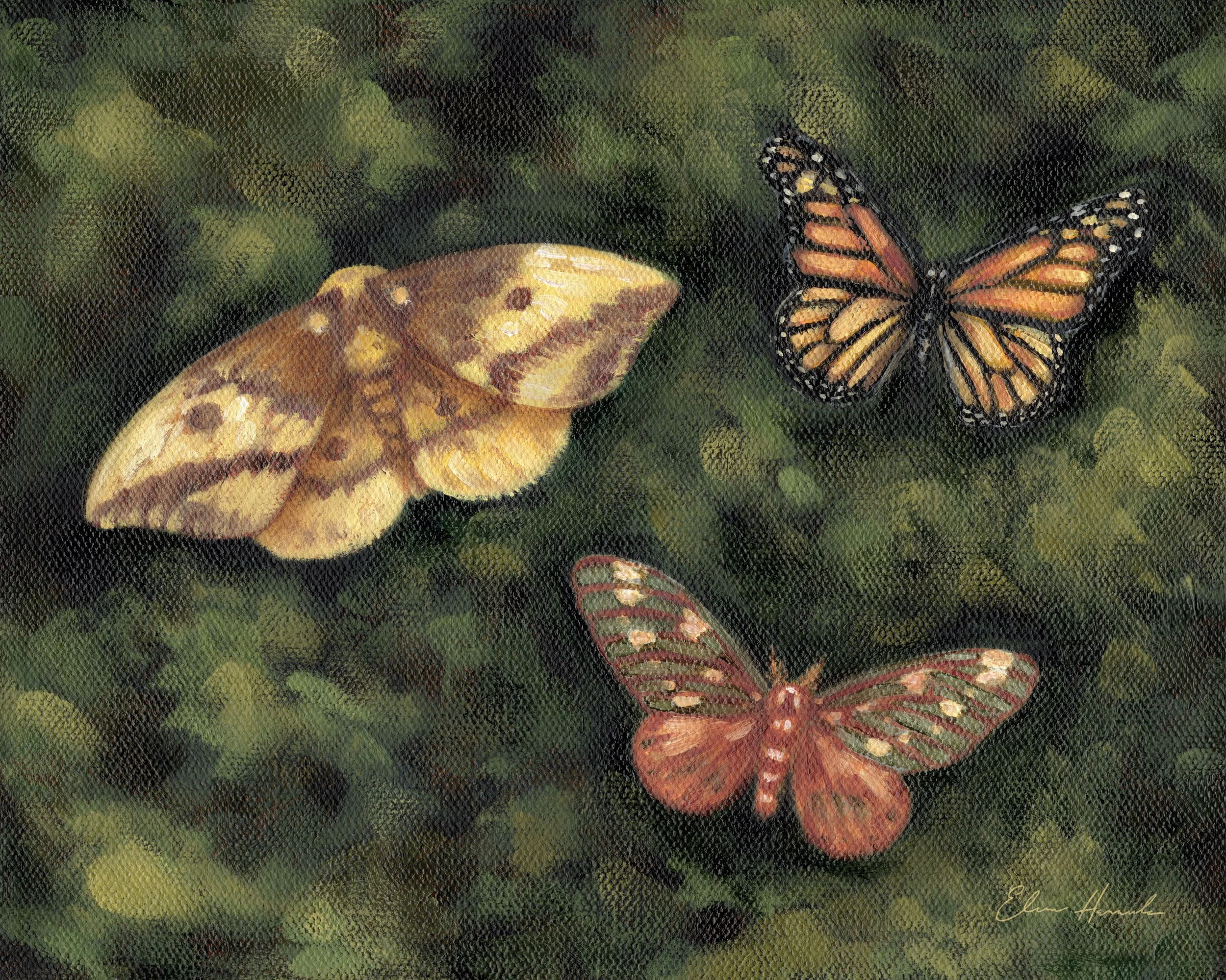 Printful_8x10_CMYK_horizontal_moths_WEB.jpg
