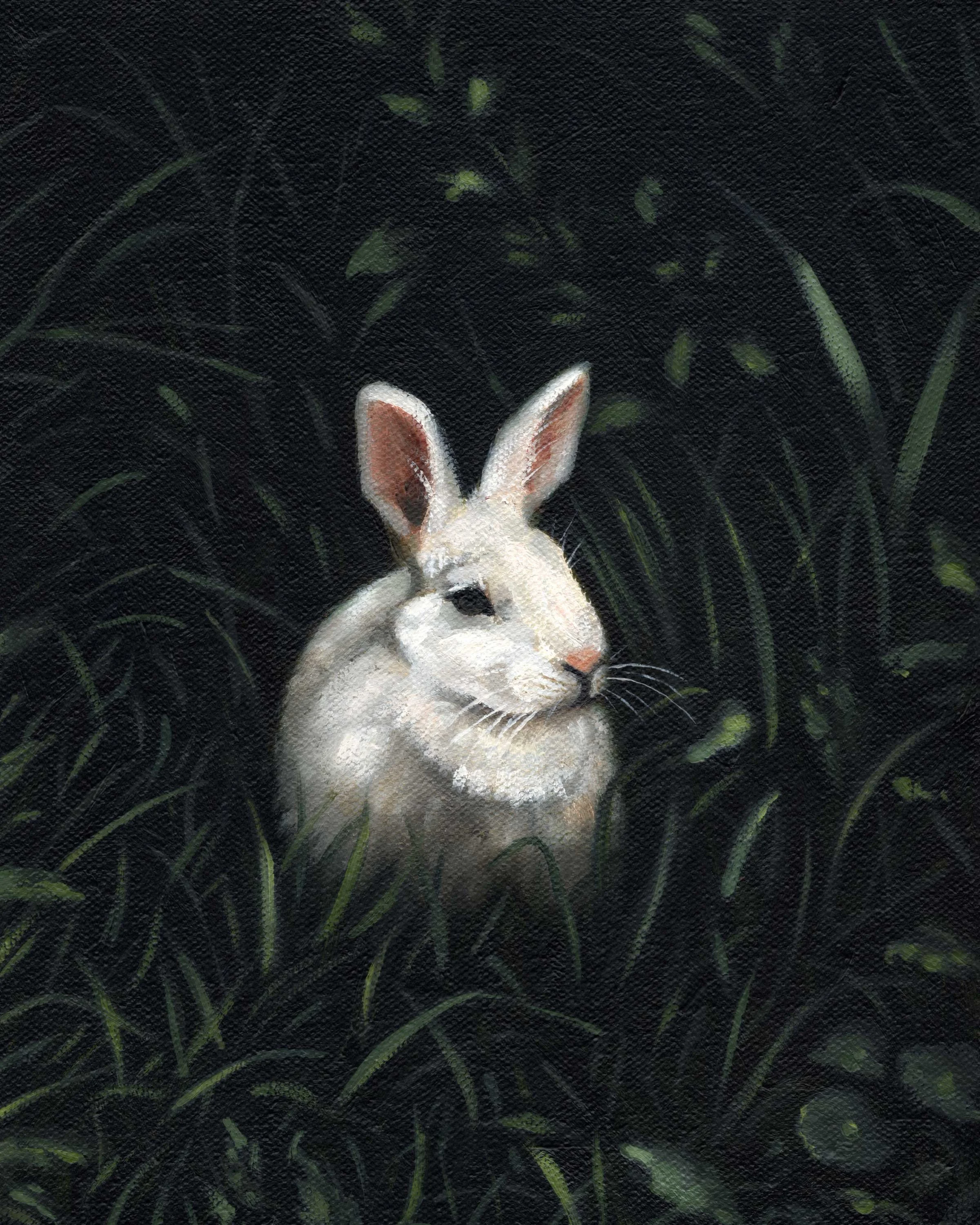 Rabbit_oil-painting_edited_WEB.jpg