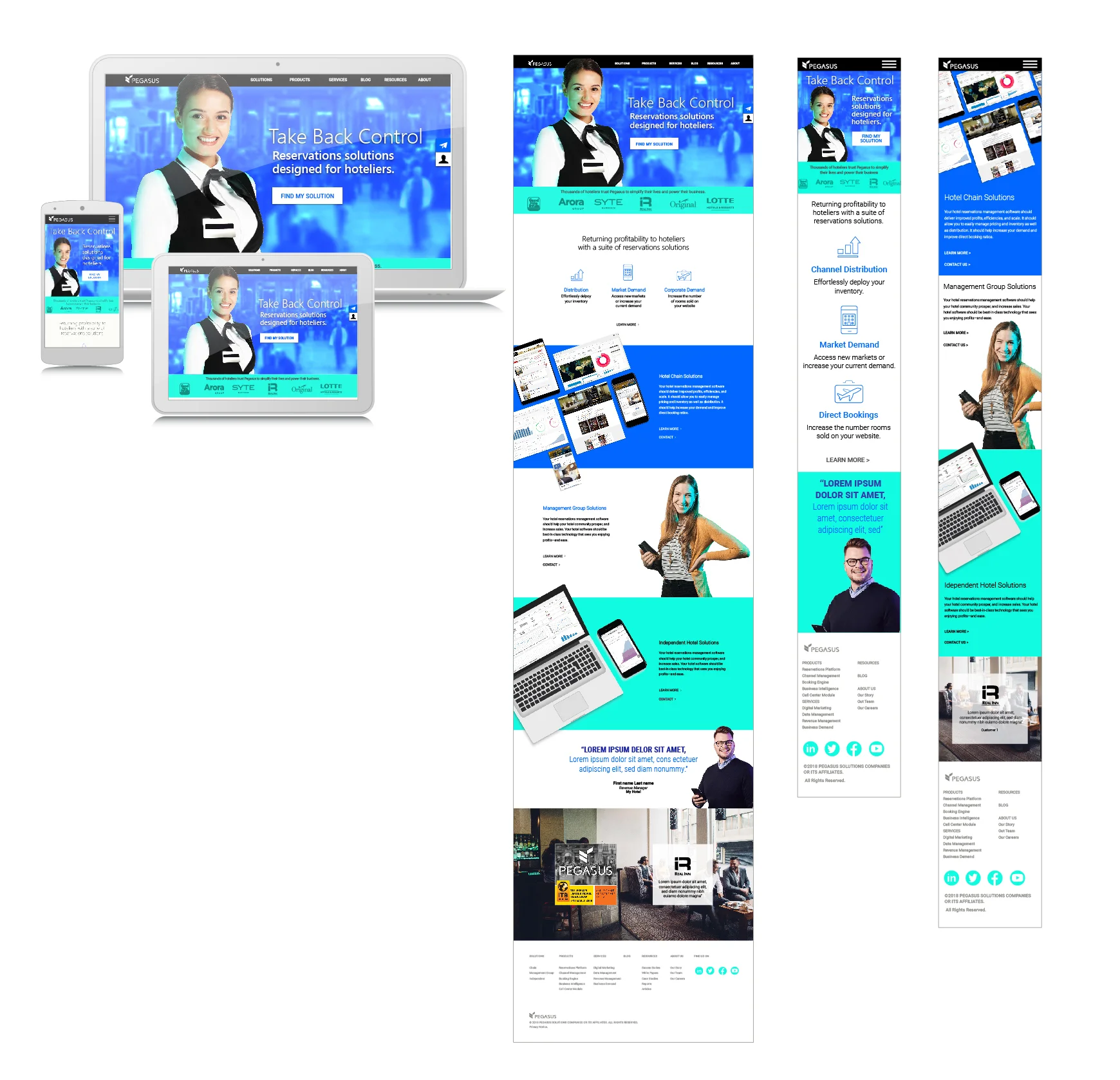 Pegasus Website design.jpg