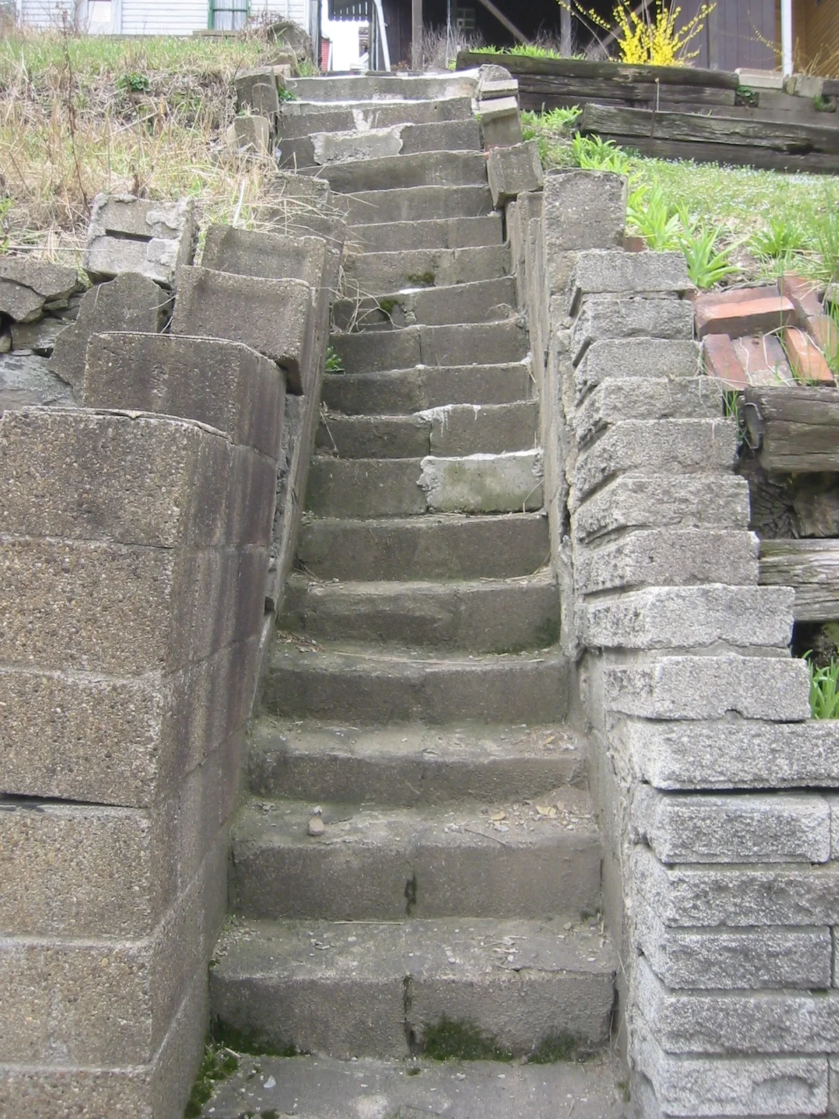 100-0016_IMG.JPG
