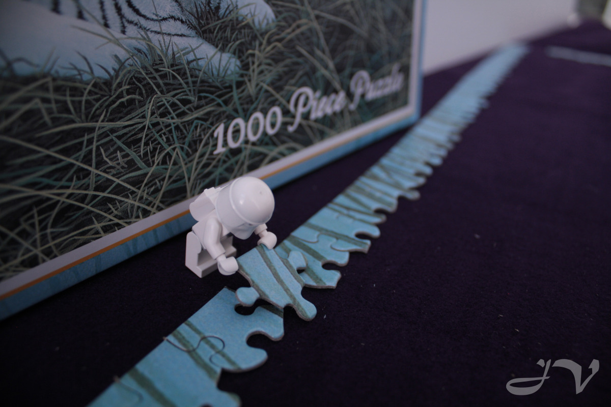 365 Day 1 - Puzzled