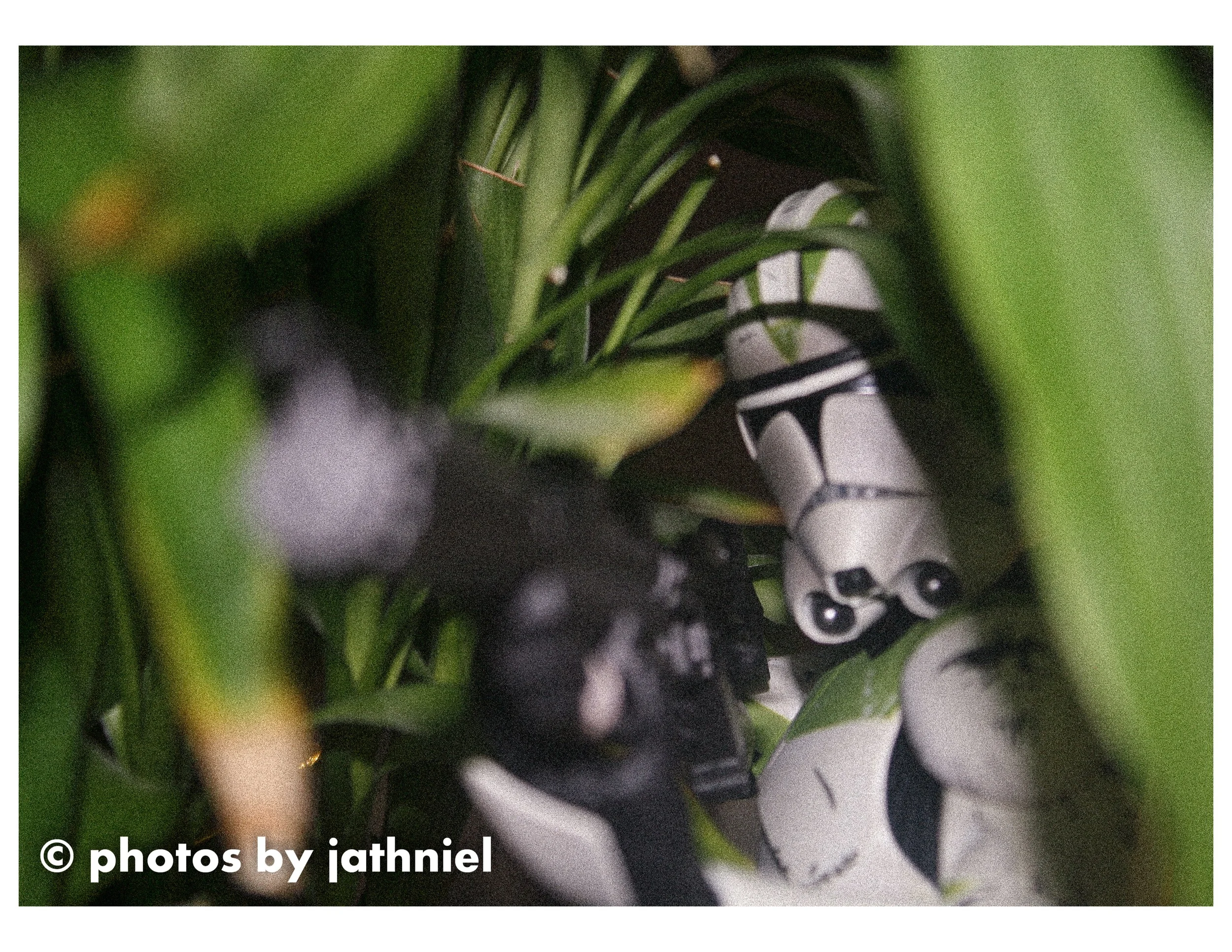 365 Day 265 - Too late...