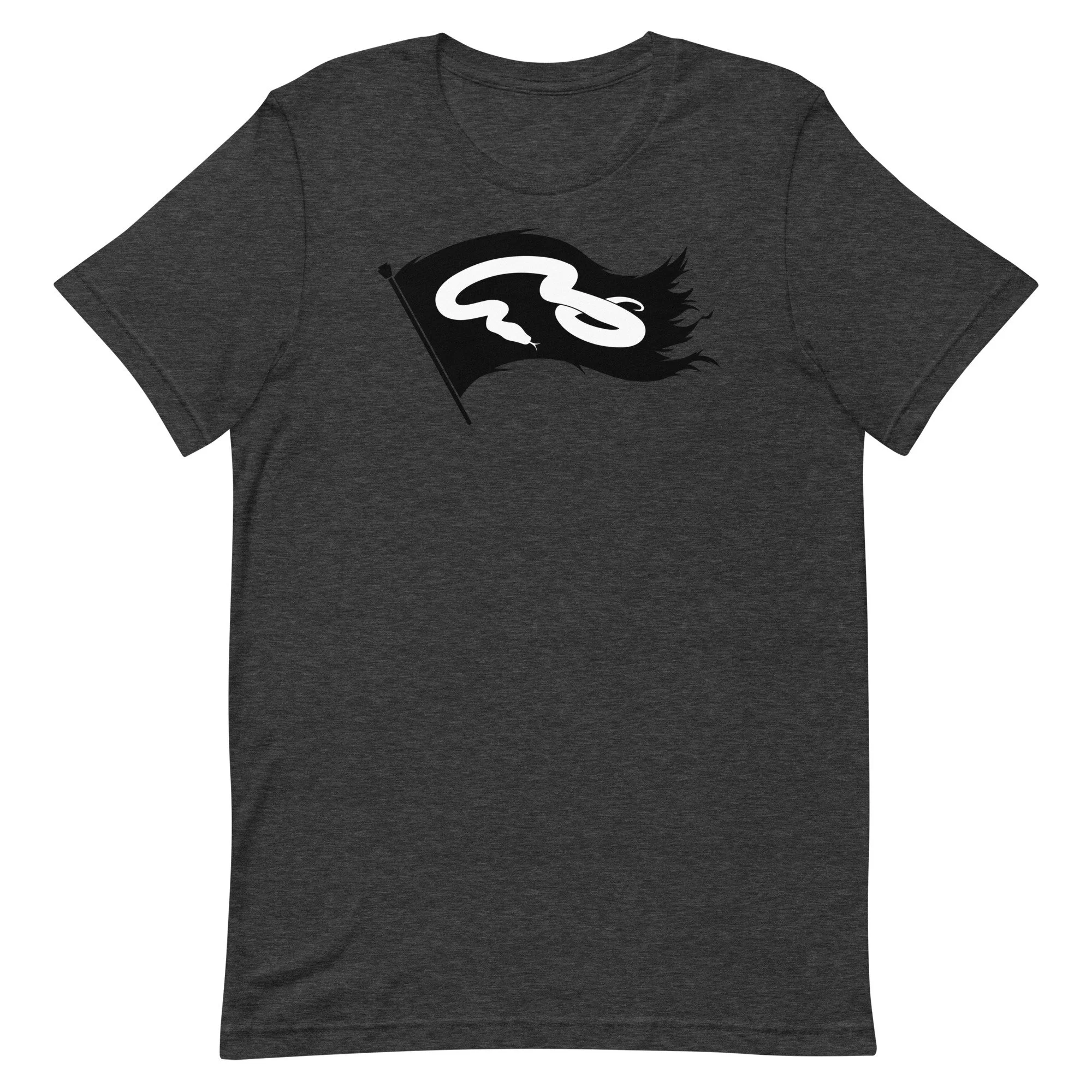 unisex-staple-t-shirt-dark-grey-heather-front-64bdac5b2c0fc.jpg