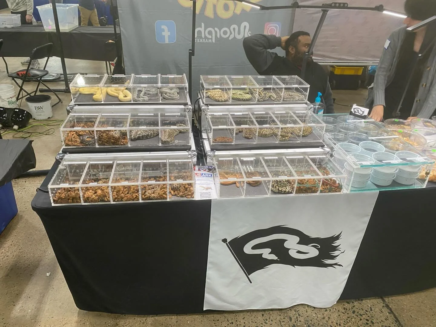 Setup at the oaks reptile show.