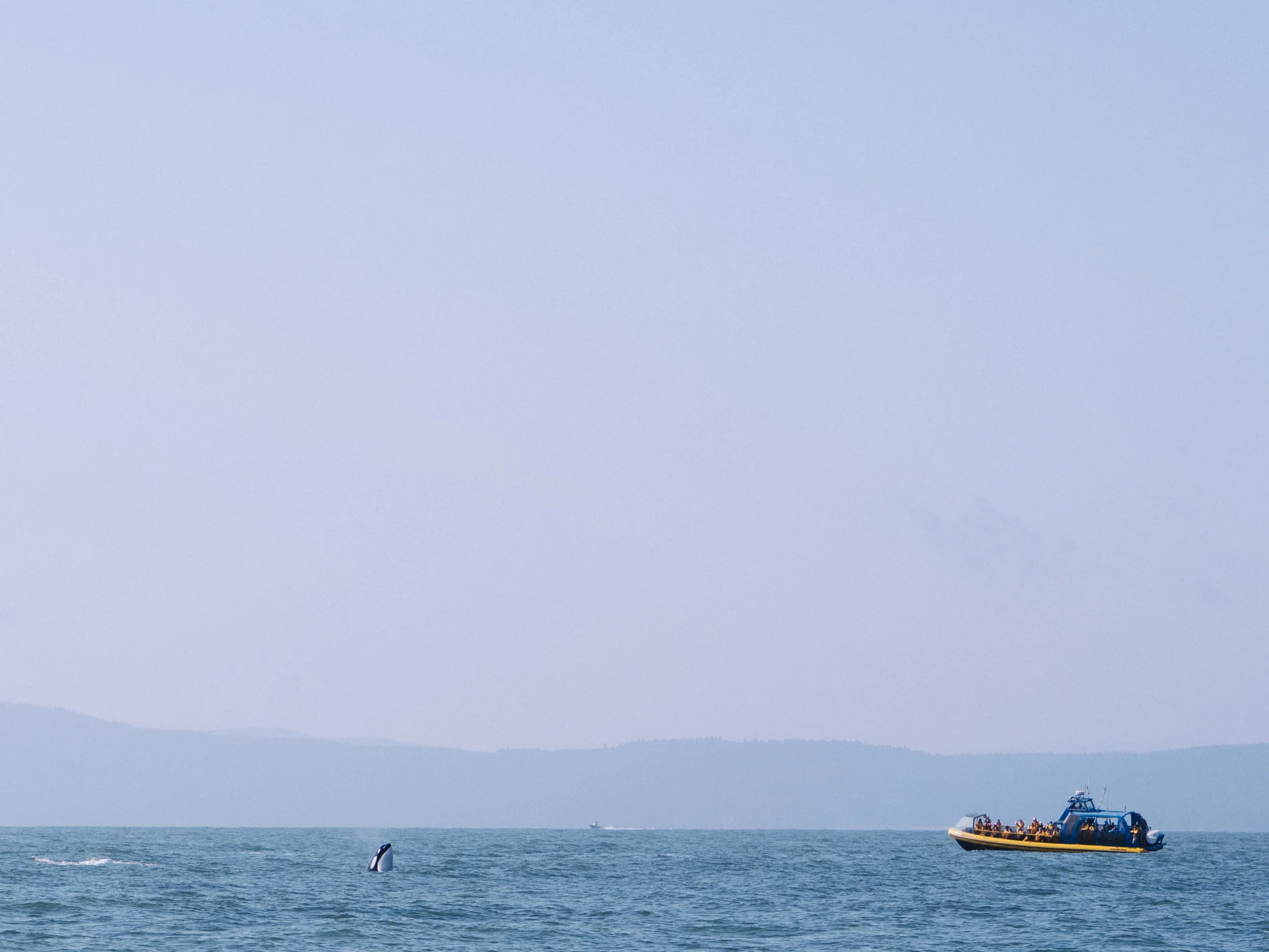 PNW-1-5.jpg