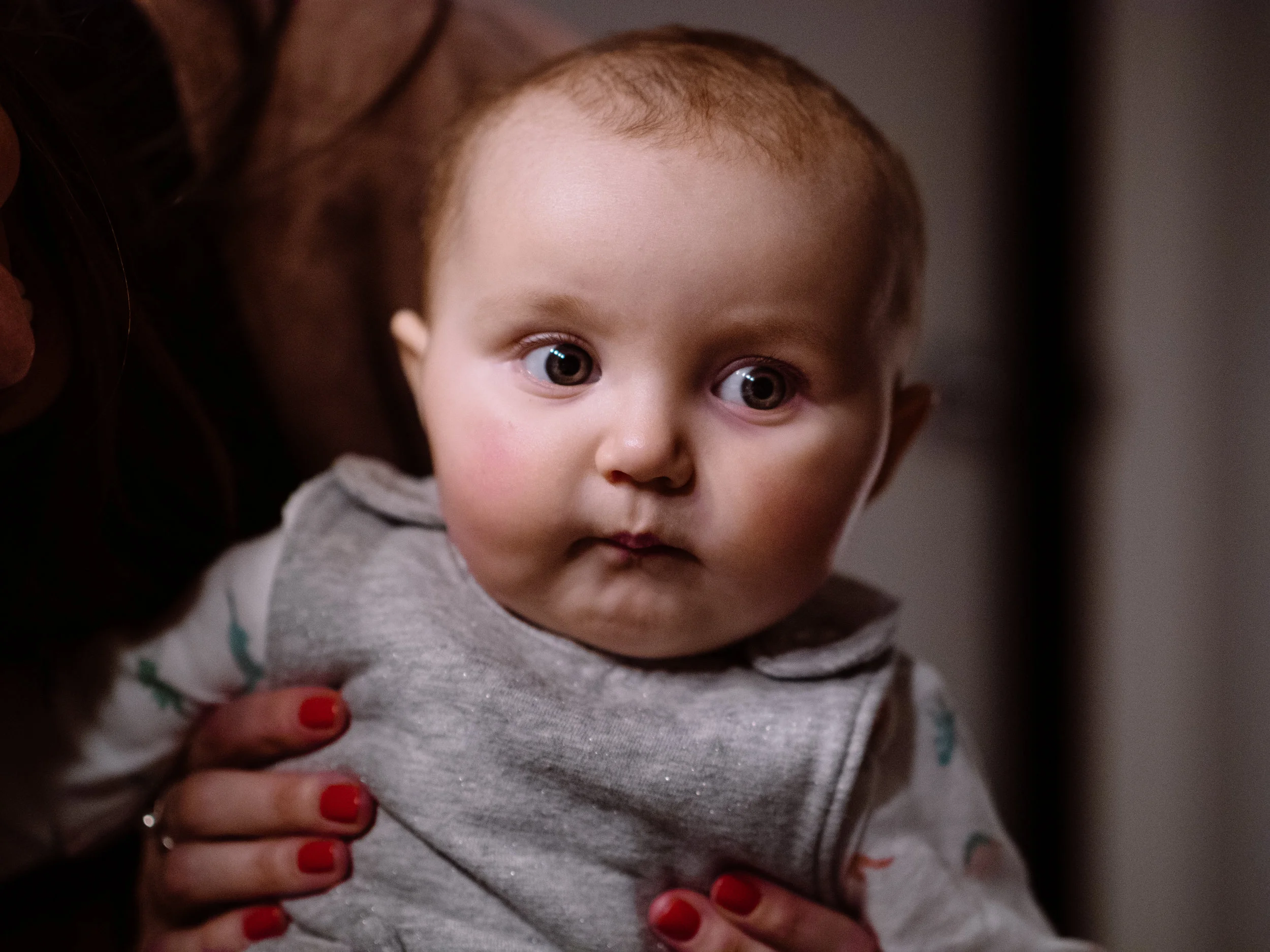 Olive-1.JPG