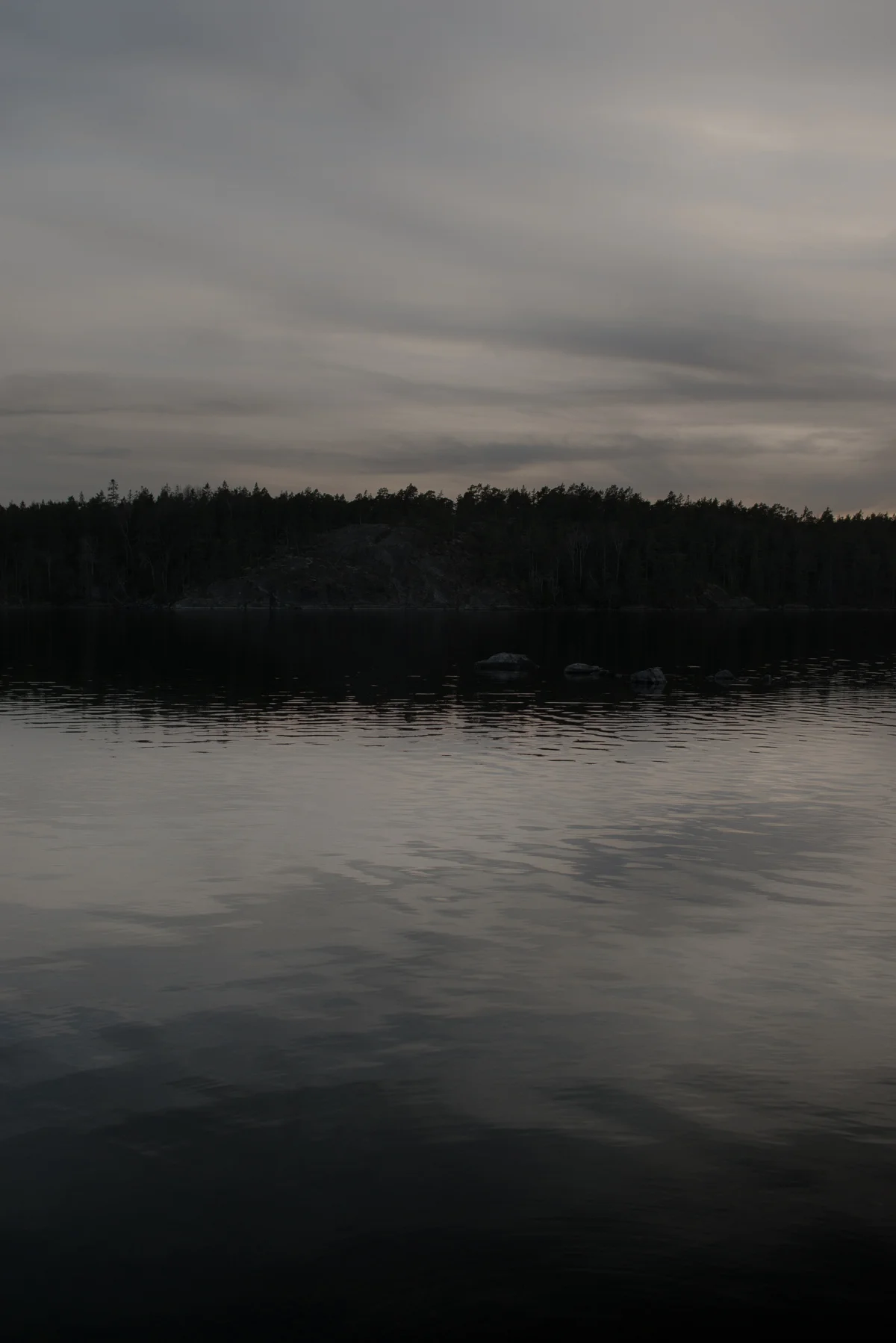 _PTR8132-bewerkt 2.jpg