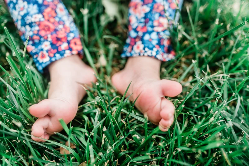 lissa's lists • 50 things to do with your kids this summer