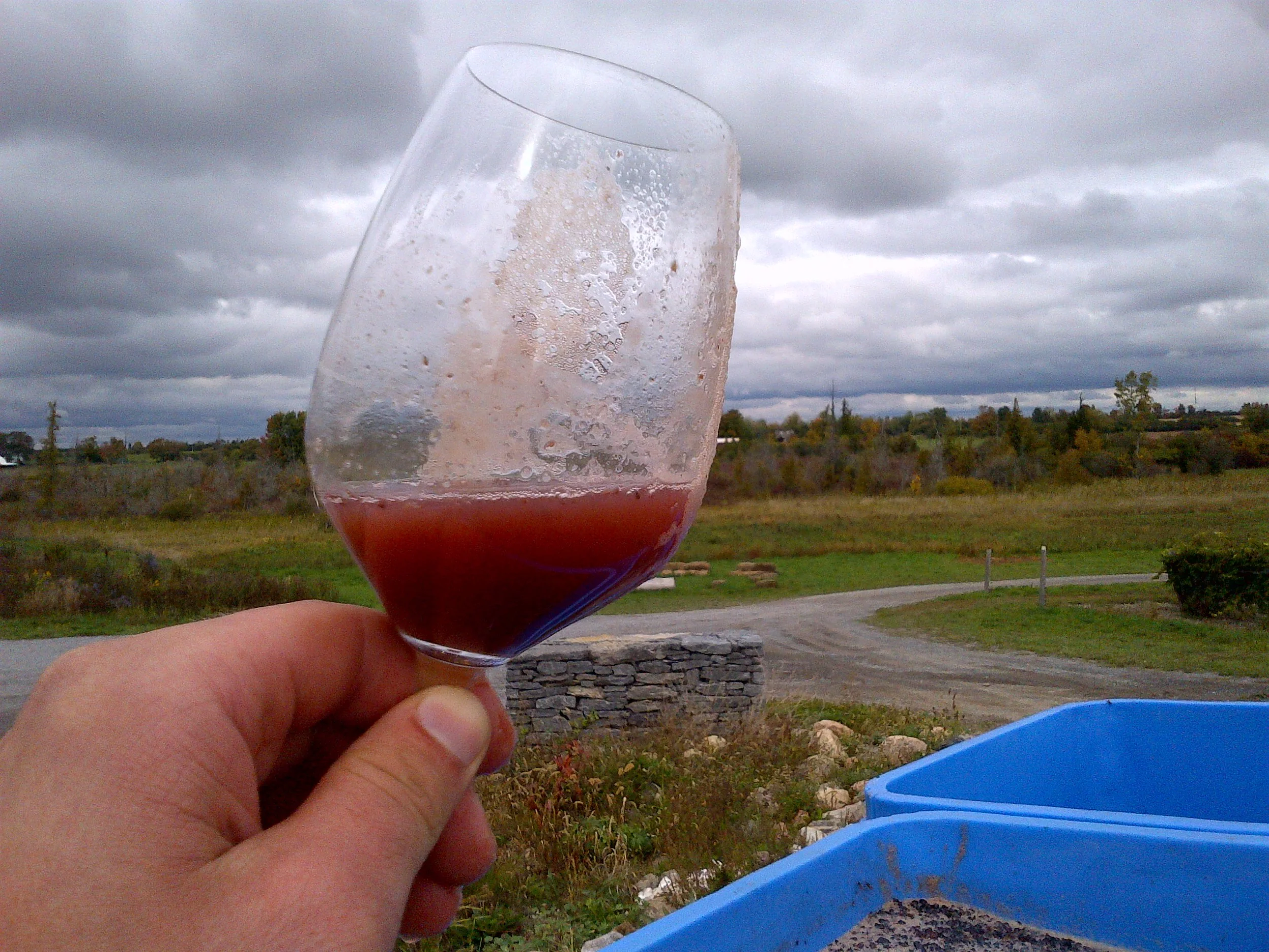 First signs of being a rosé - 2.5 hours into cold soak.
