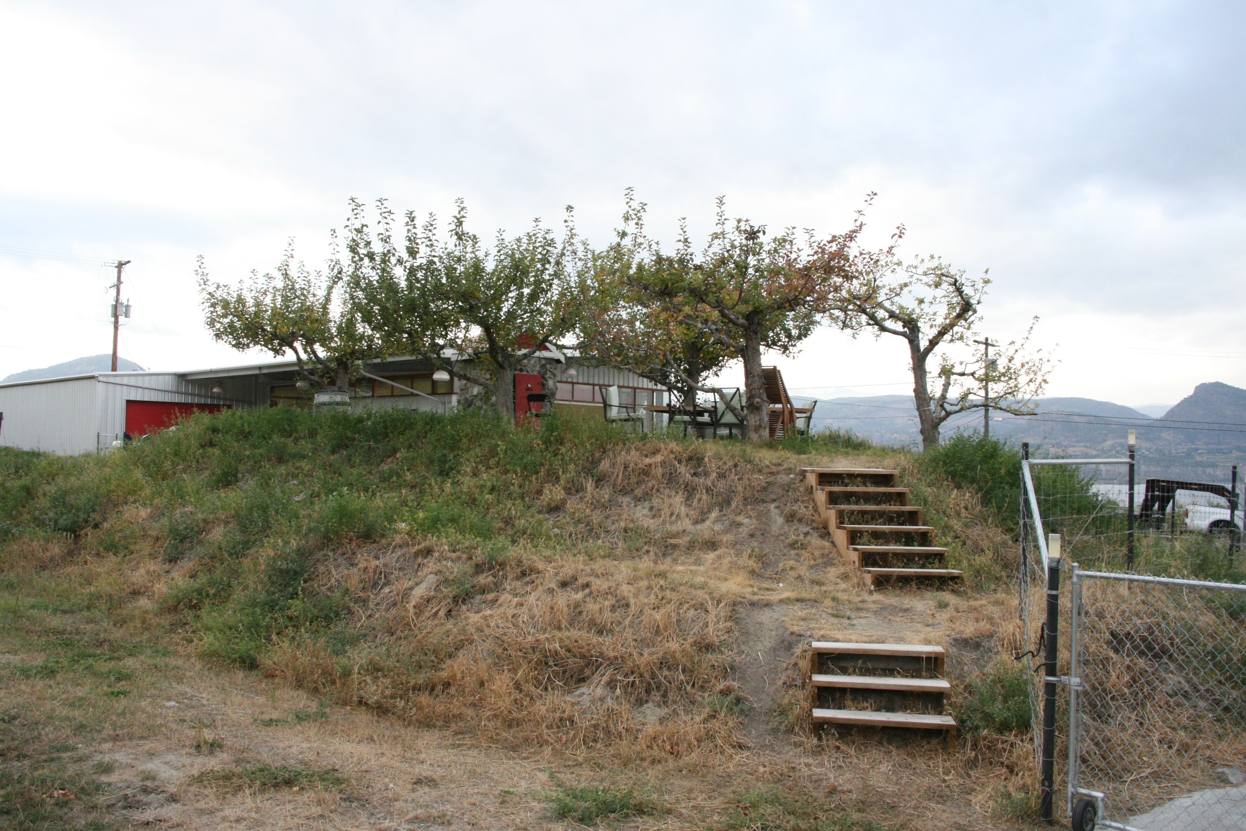  Elevated orchard dining room between the vineyard and winery... 