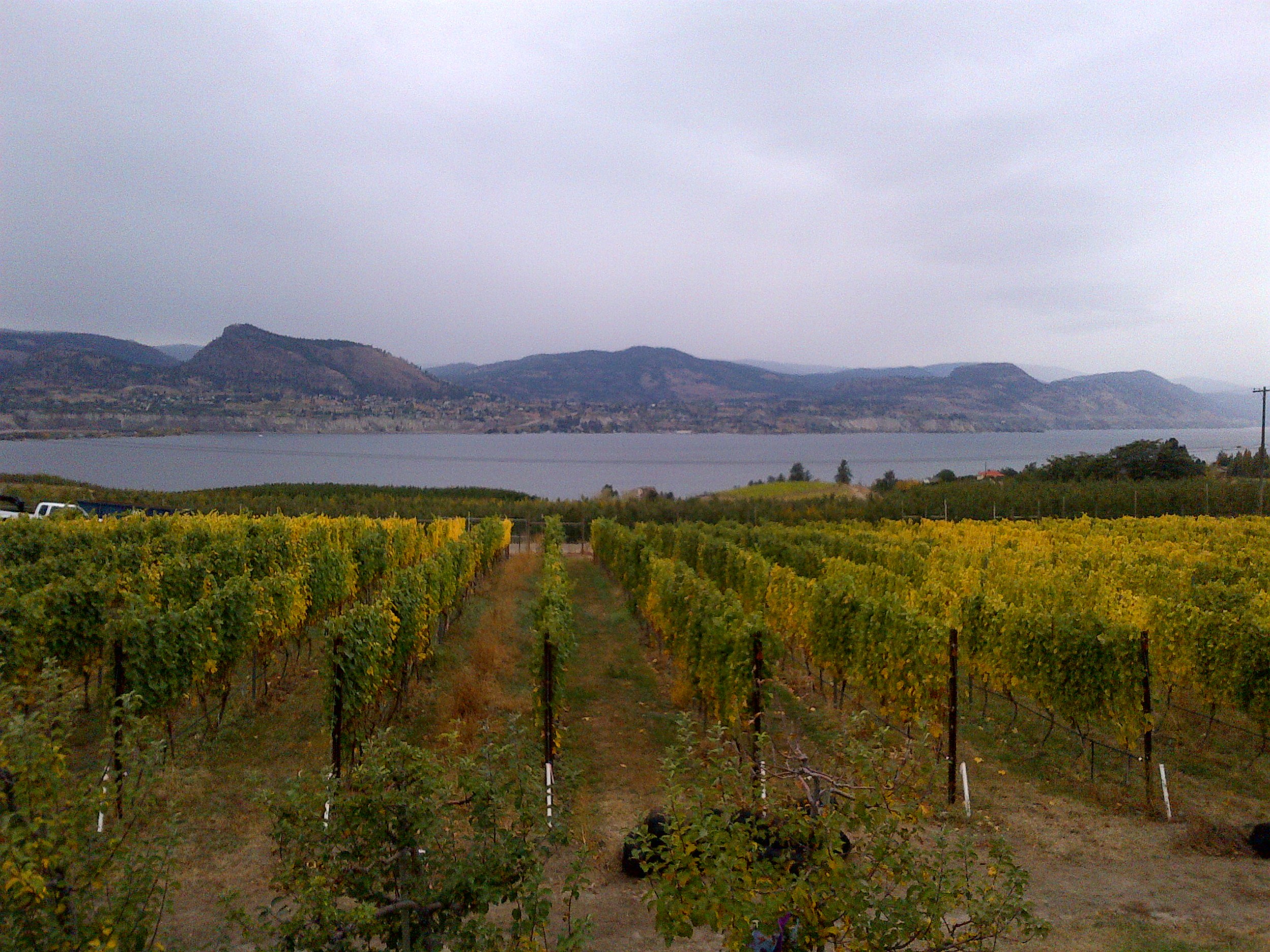  Overcast morning view of Joie's vineyard over lake Okanagan 