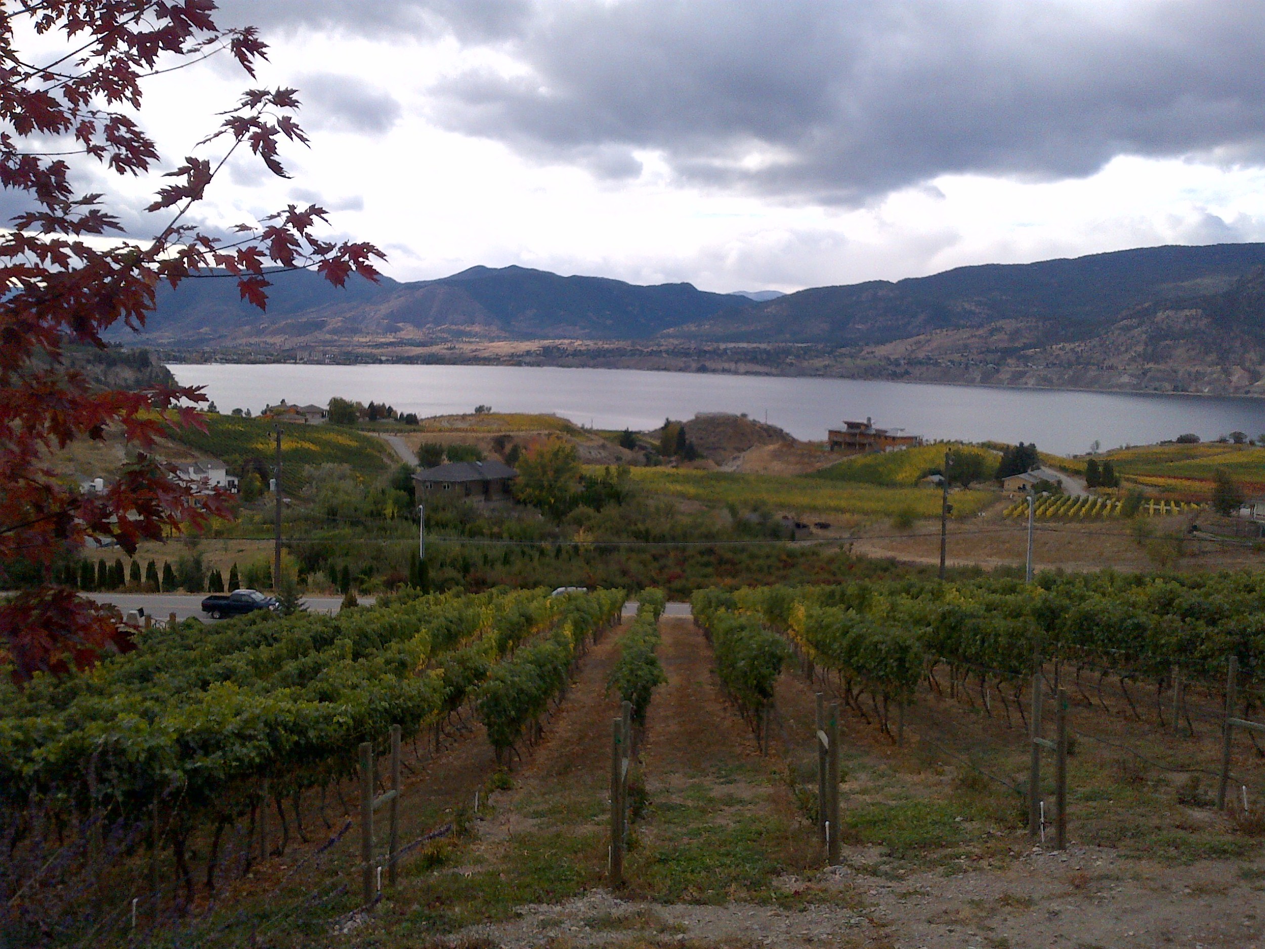  The view down to Lake Okanagan from the winery 