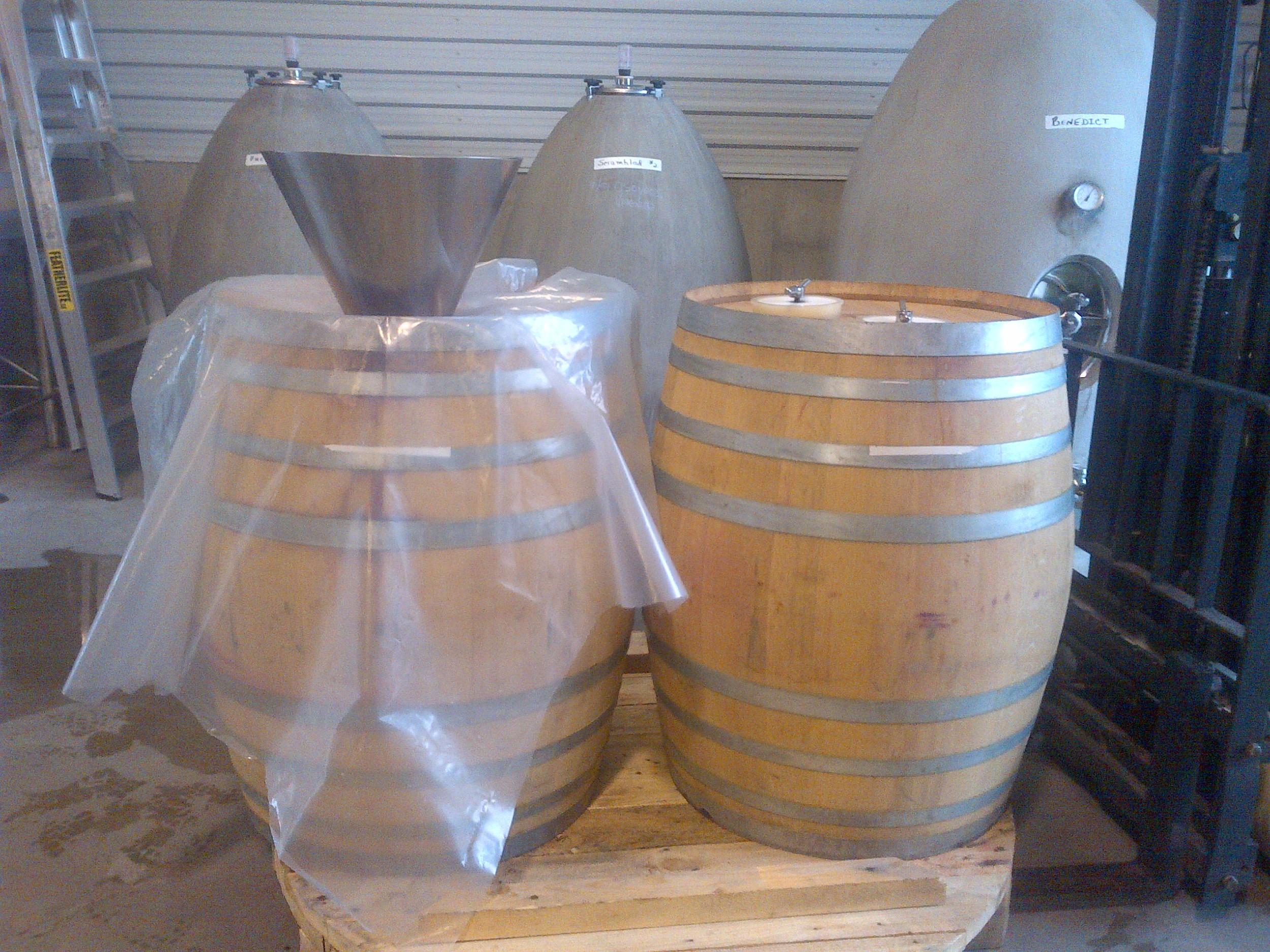  Barrels ready for filling with Malbec for fermentation after a cold soak in bins after de-stemming...  