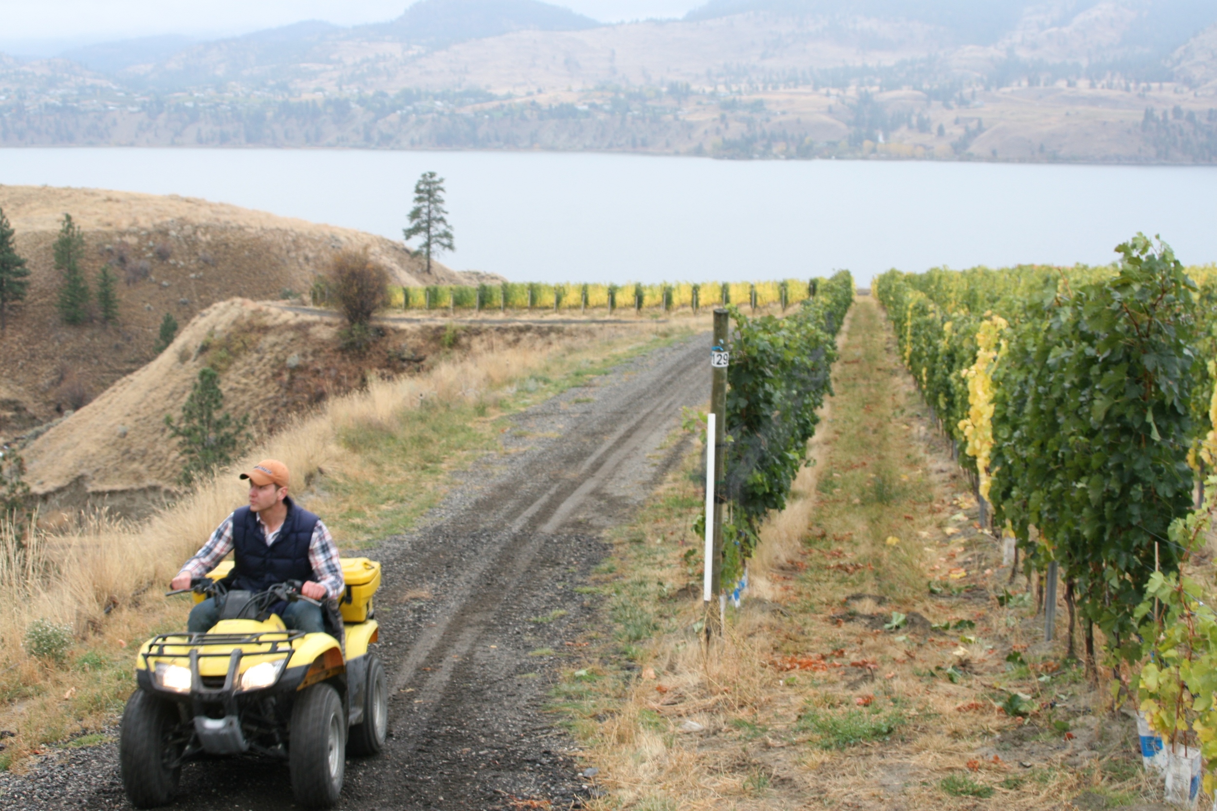Touring the vineyard on an ATV
