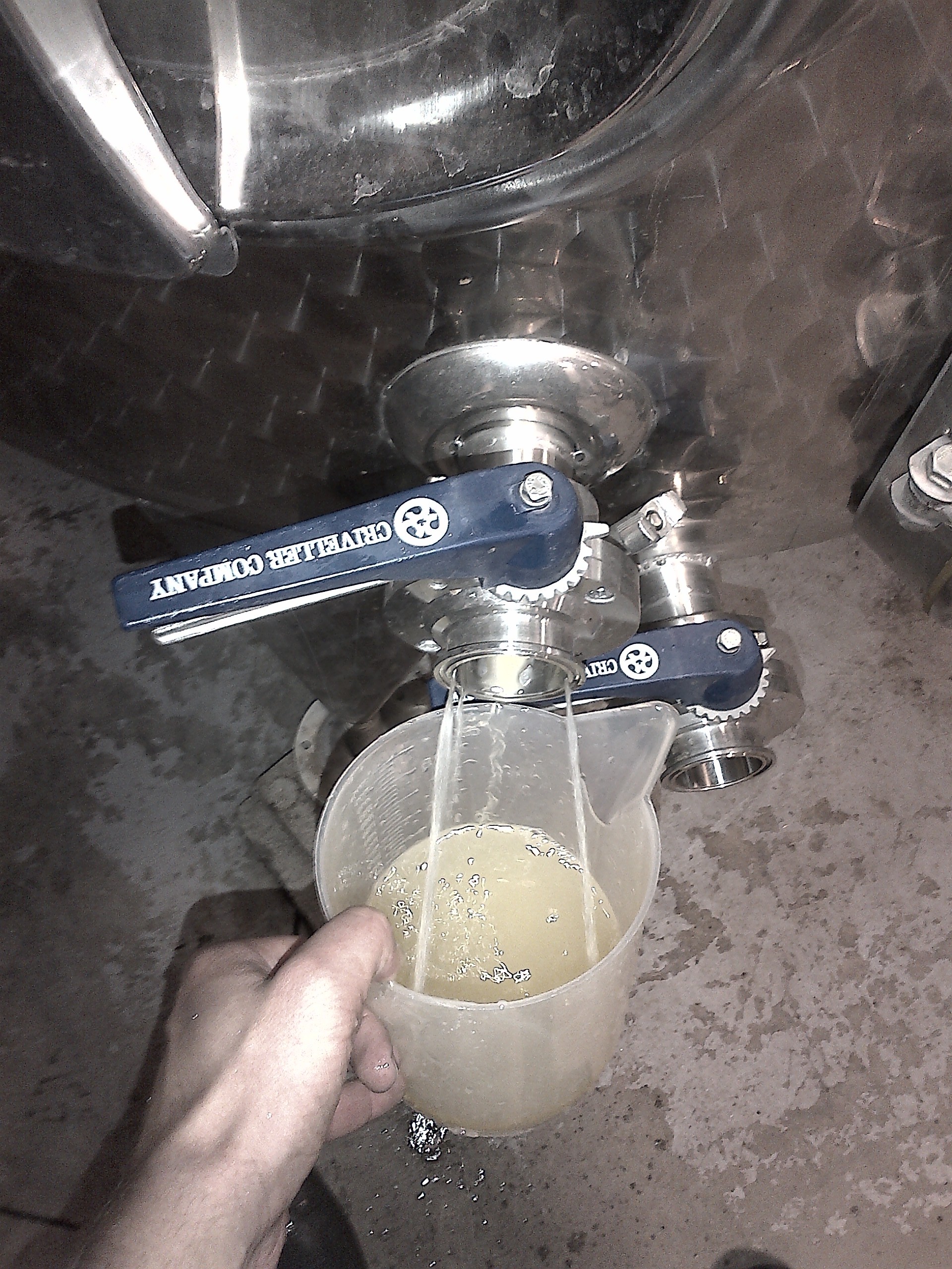  Getting some fermenting Chardonnay juice to test the brix and track fermentation... 