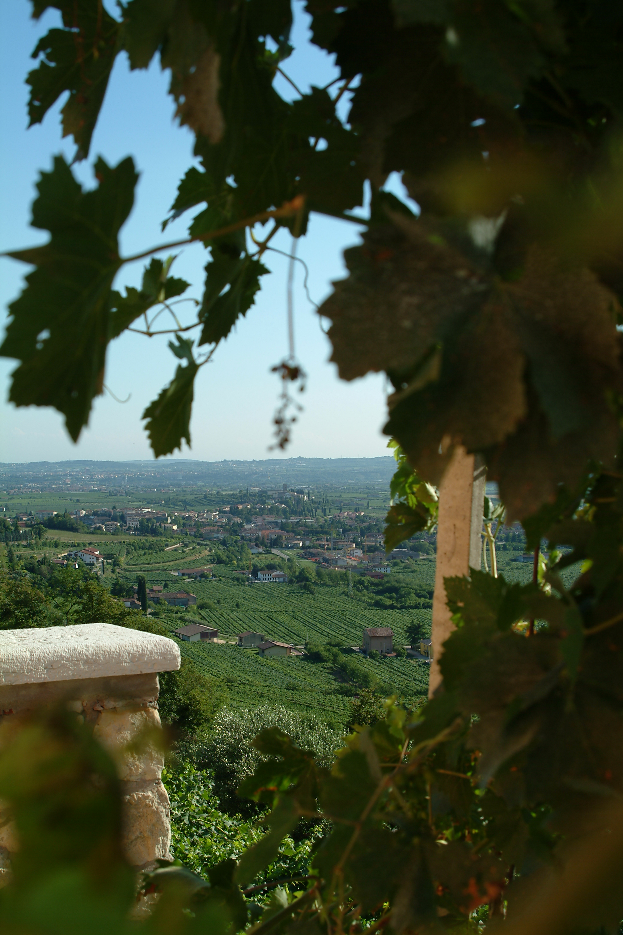 View from the top of Sant Urban vineyard where Speri's Amarone comes from.