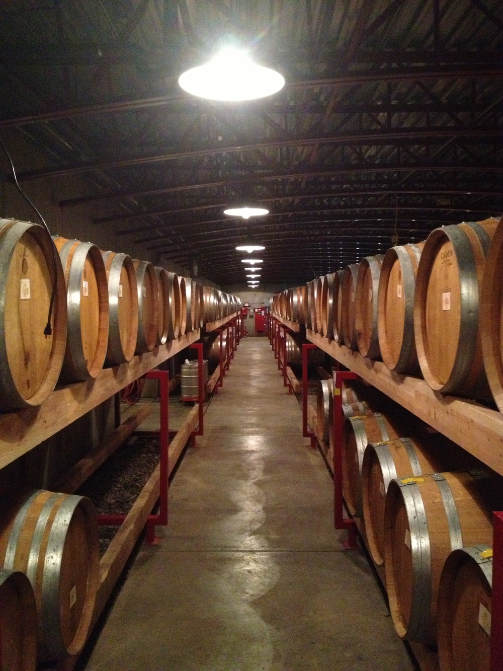  Pinots at rest in the St. Innocent cellar.  