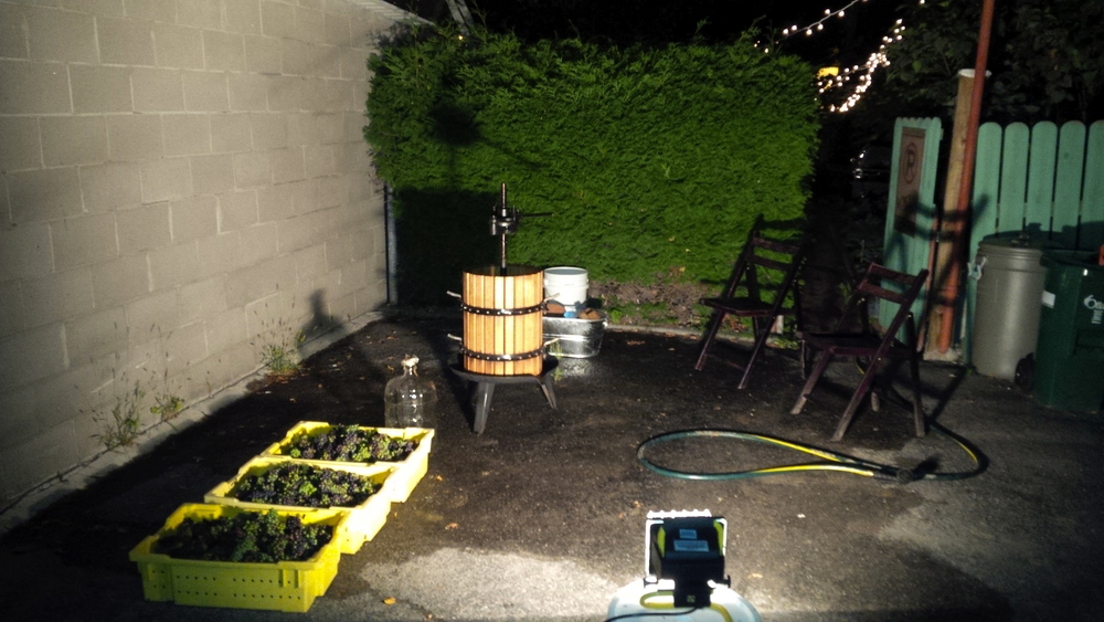  The Hintonburg Crush Pad (HPC) set up, ready to receive a load of grapes. 