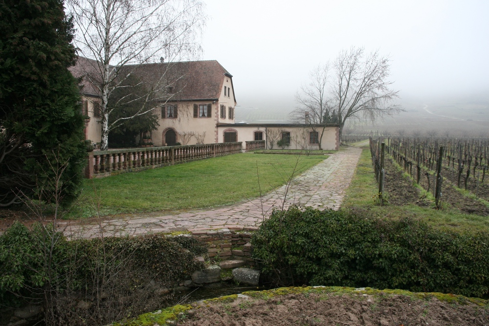  View of the Domaine and vineyards from the gates. 