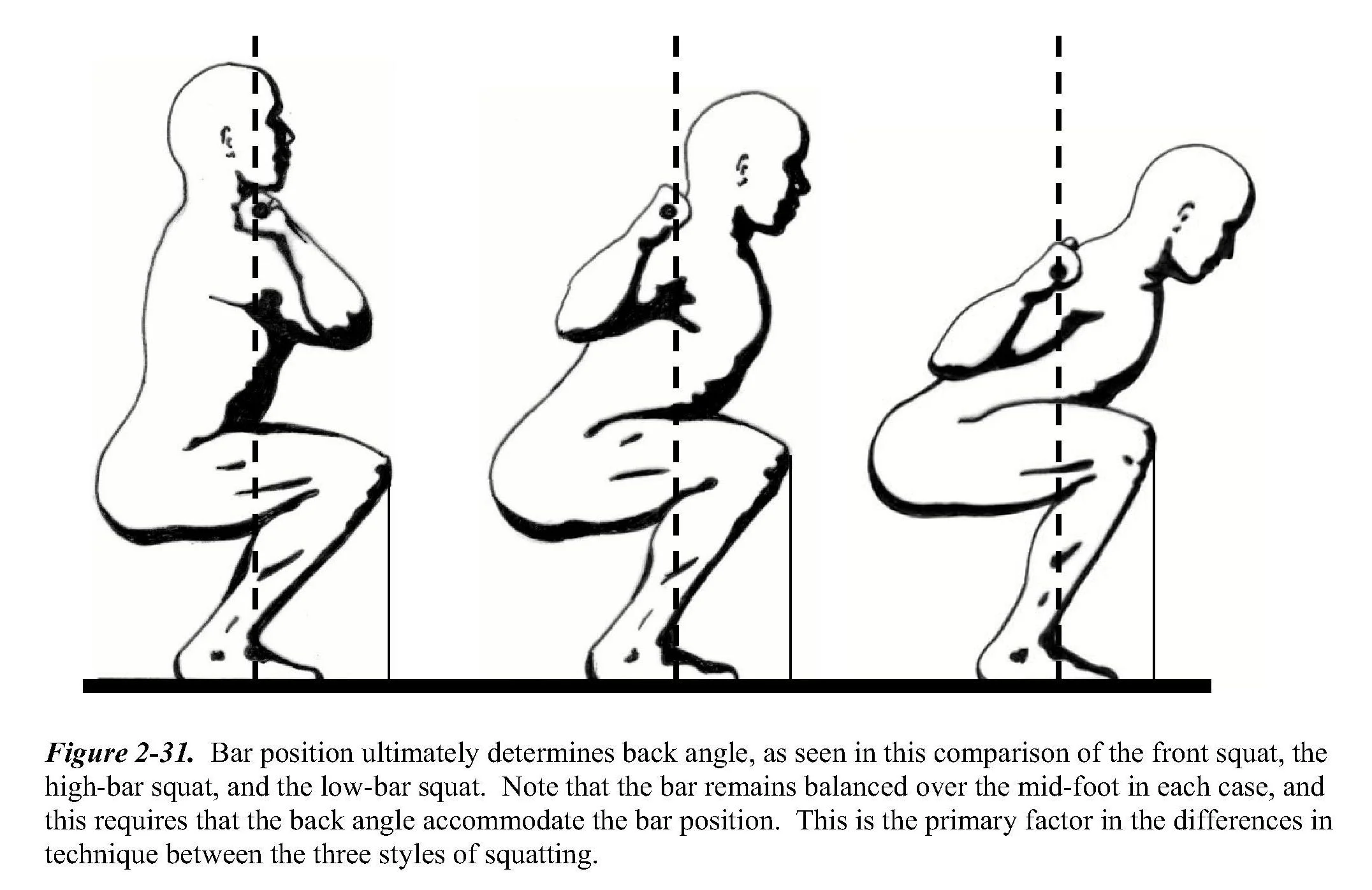 From Starting Strength , Mark Rippetoe et al. 