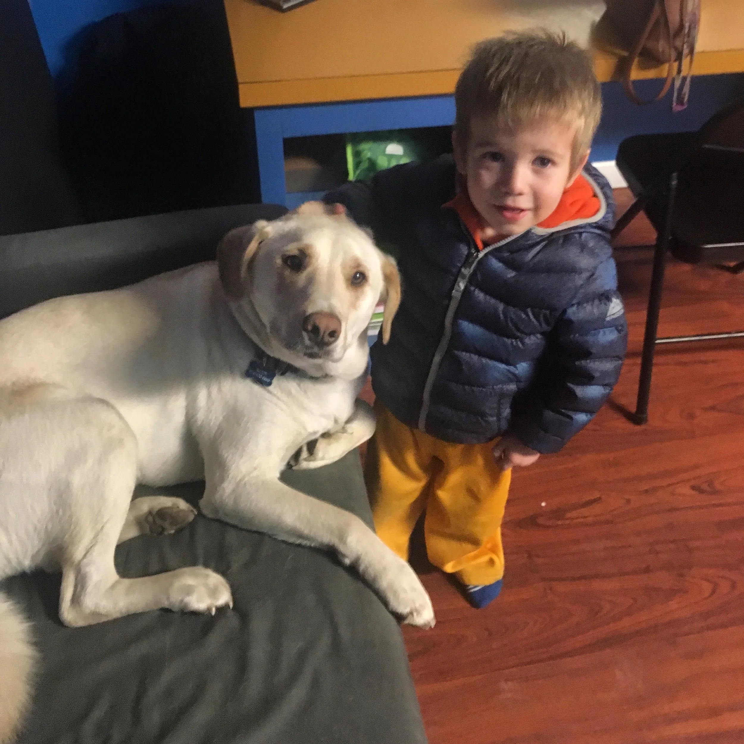 170203 - FYF as a Team