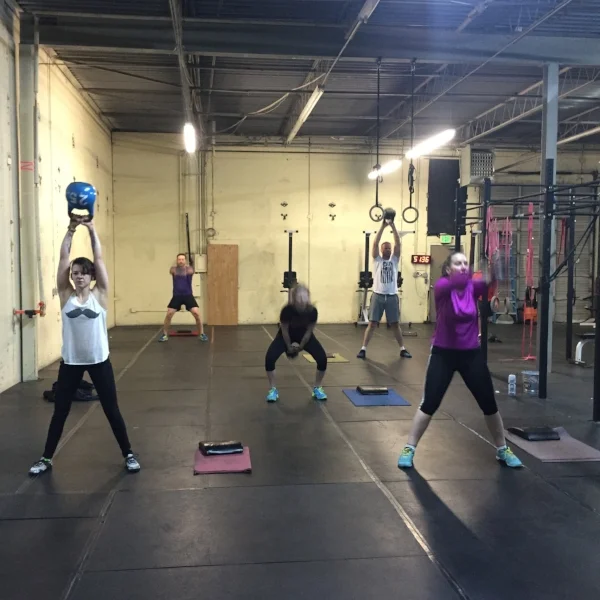 170105 - CrossFit Total (Snowpocalypse Take-Home WOD too)