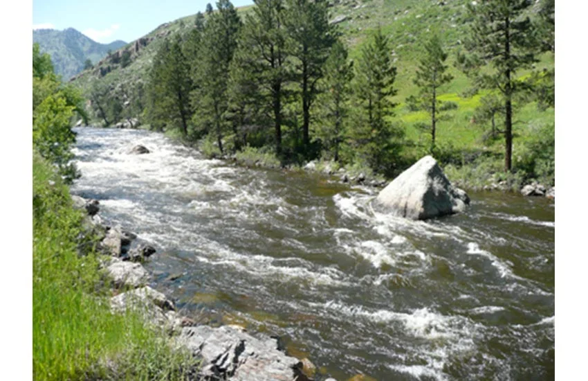 Gateway Mountain Park, Poudre Canyon, Colorado USA