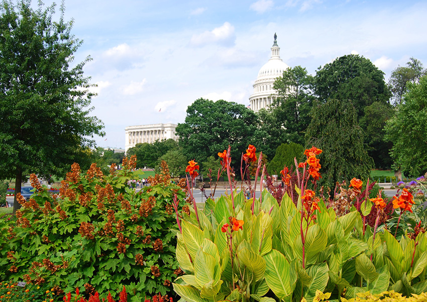 View of Capitol Building from Site