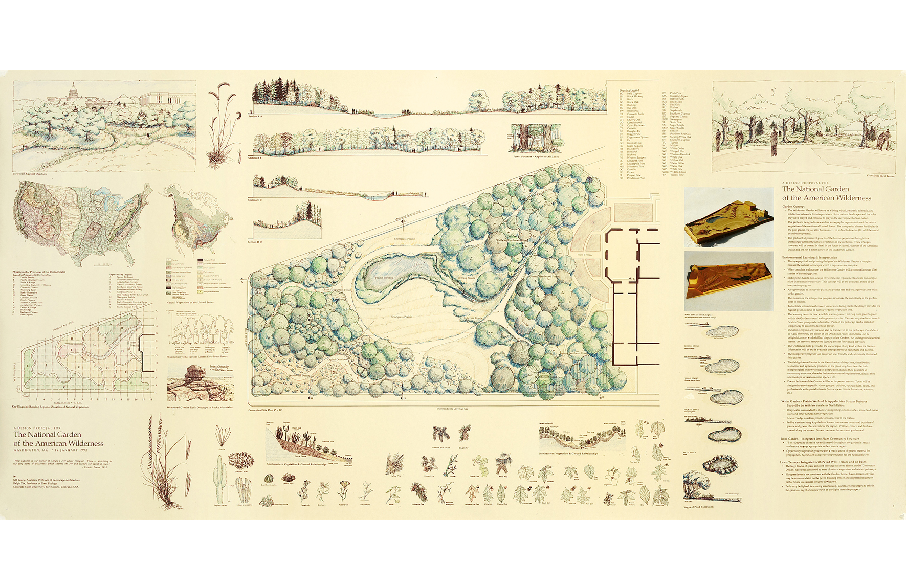 Competition Entry Board