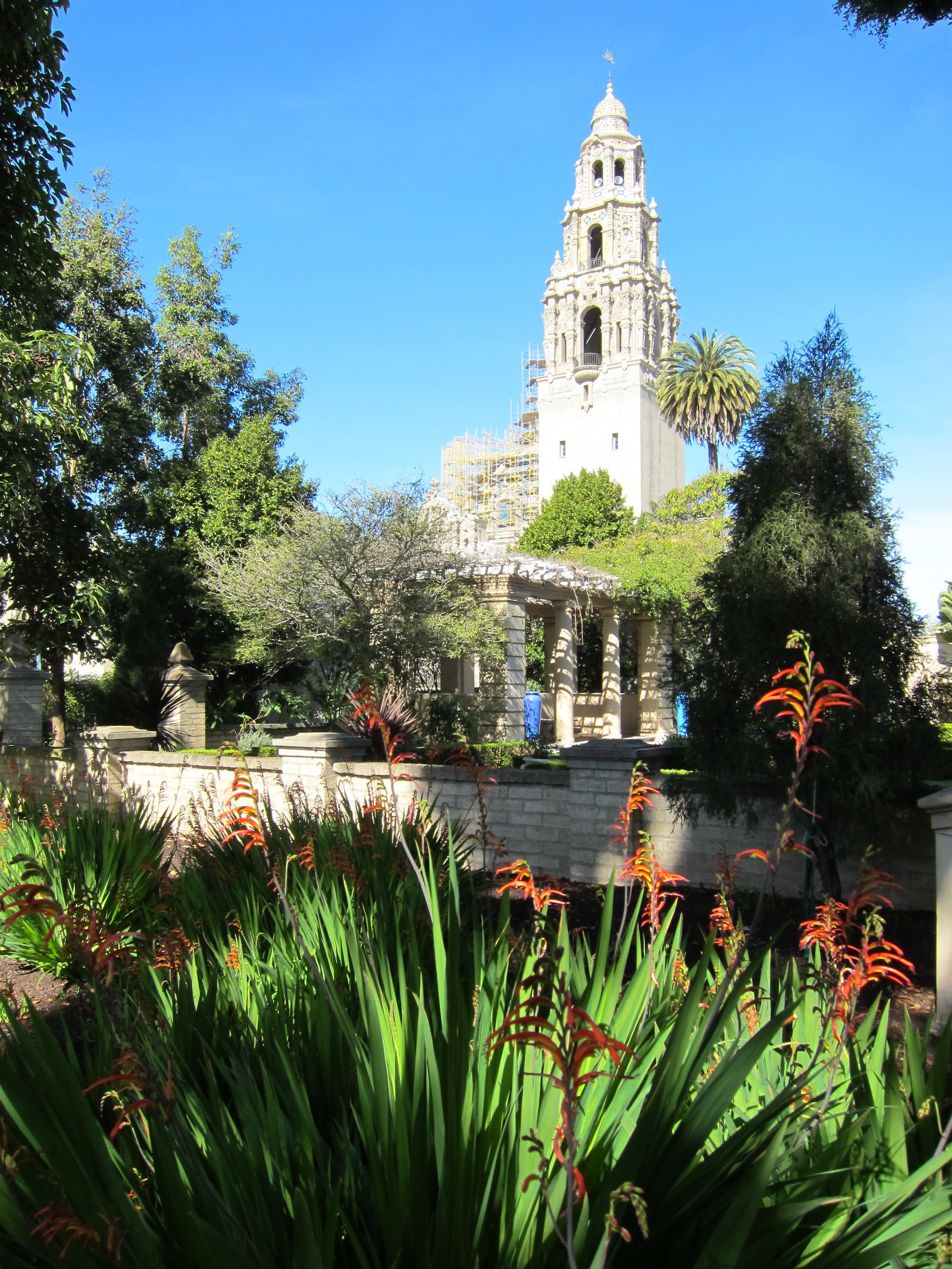IMG_4621.JPG