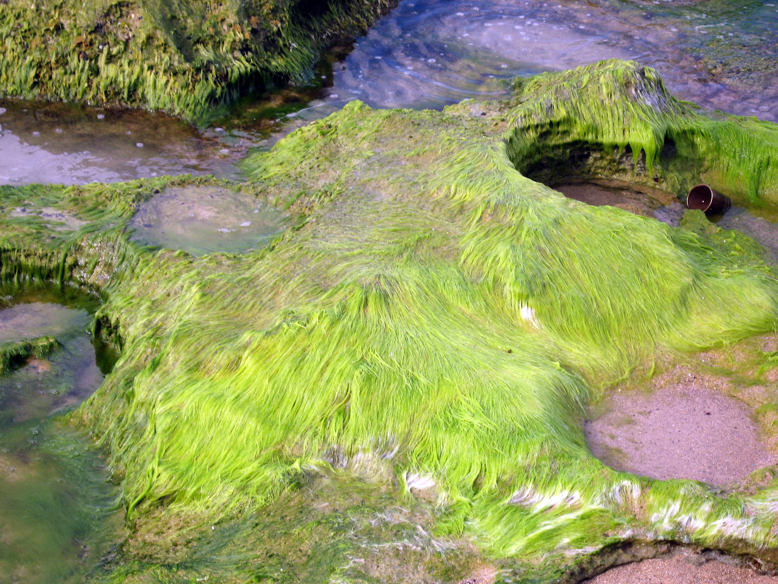 Puerto Rico 009.jpg