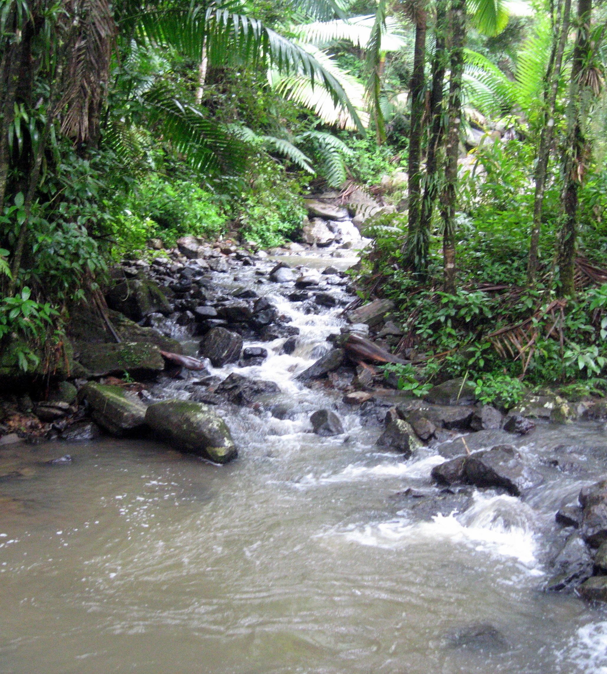 Puerto Rico 061.jpg