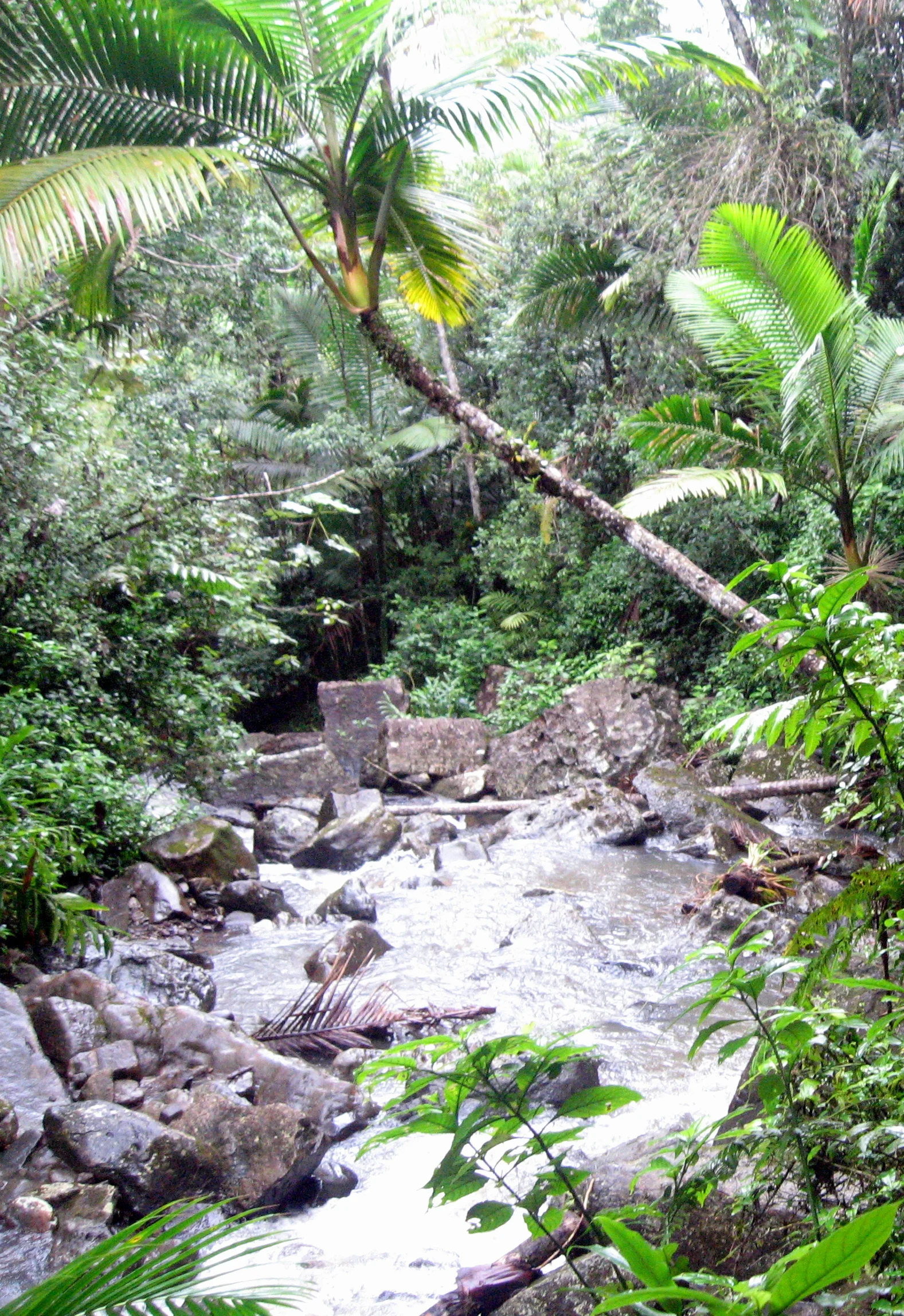 Puerto Rico 062.jpg