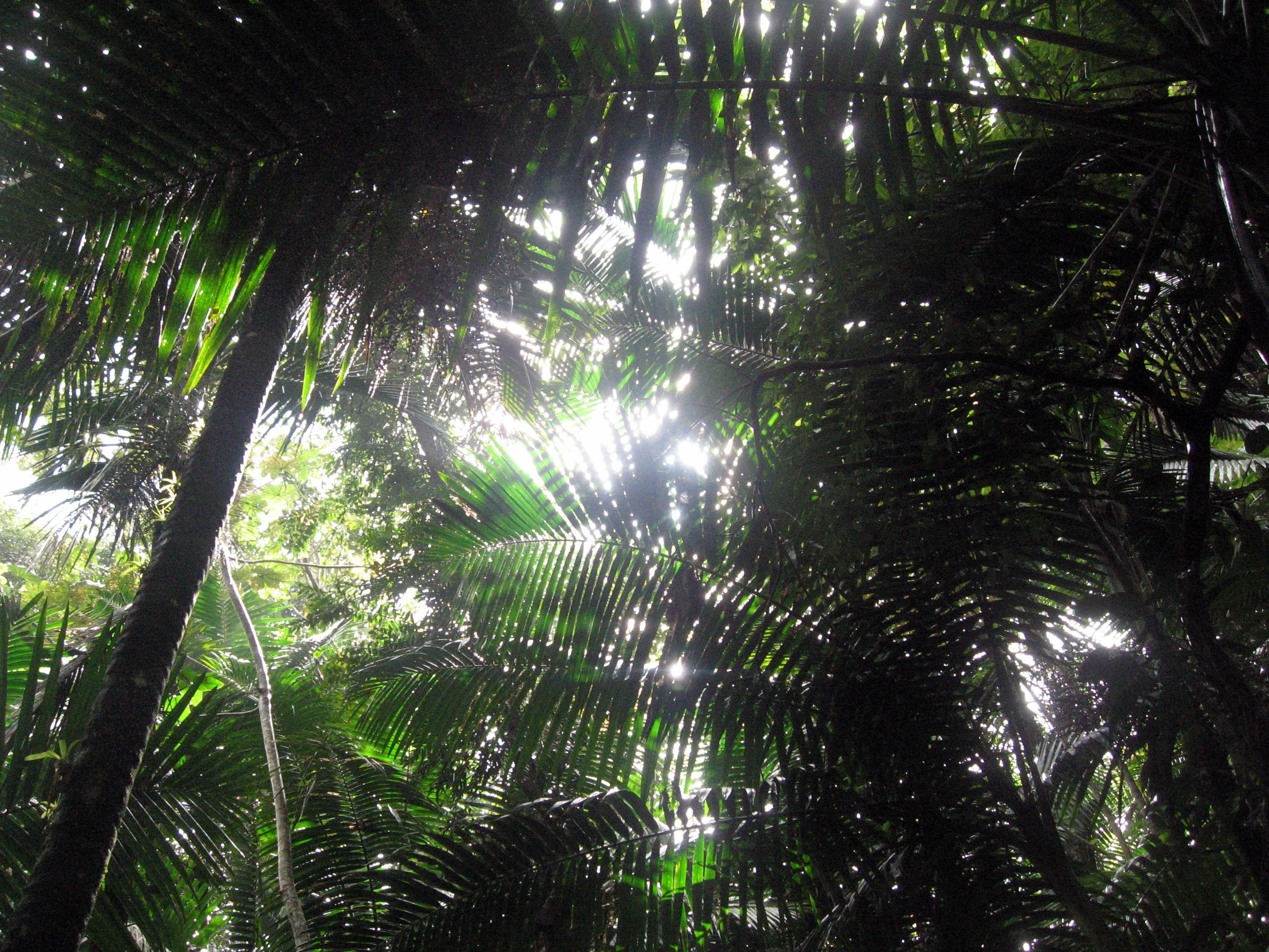 Puerto Rico 071.jpg
