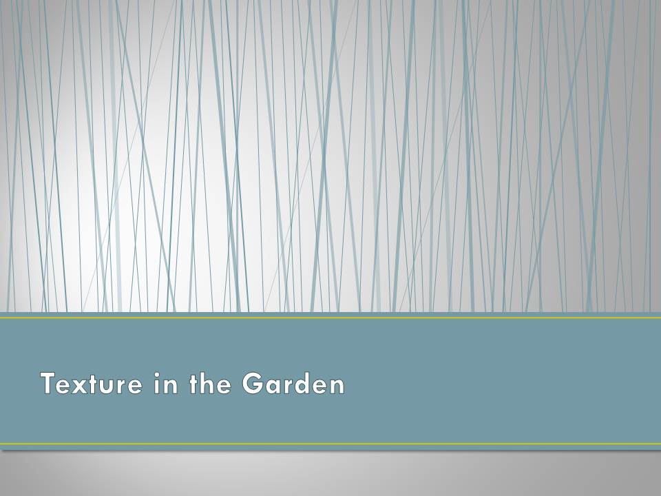 Slide7.JPG