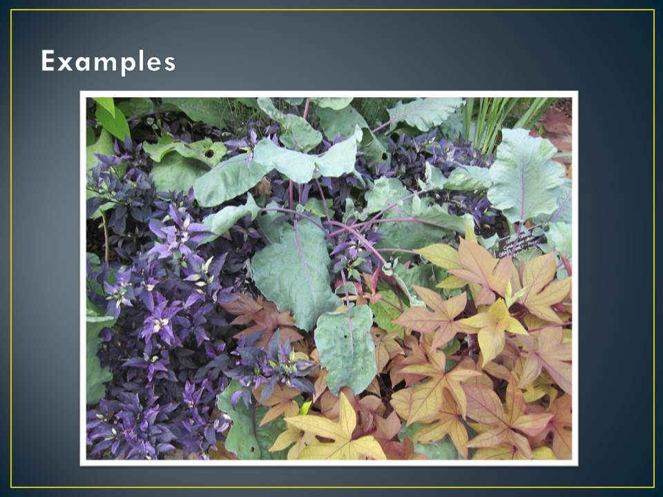 Slide35.JPG