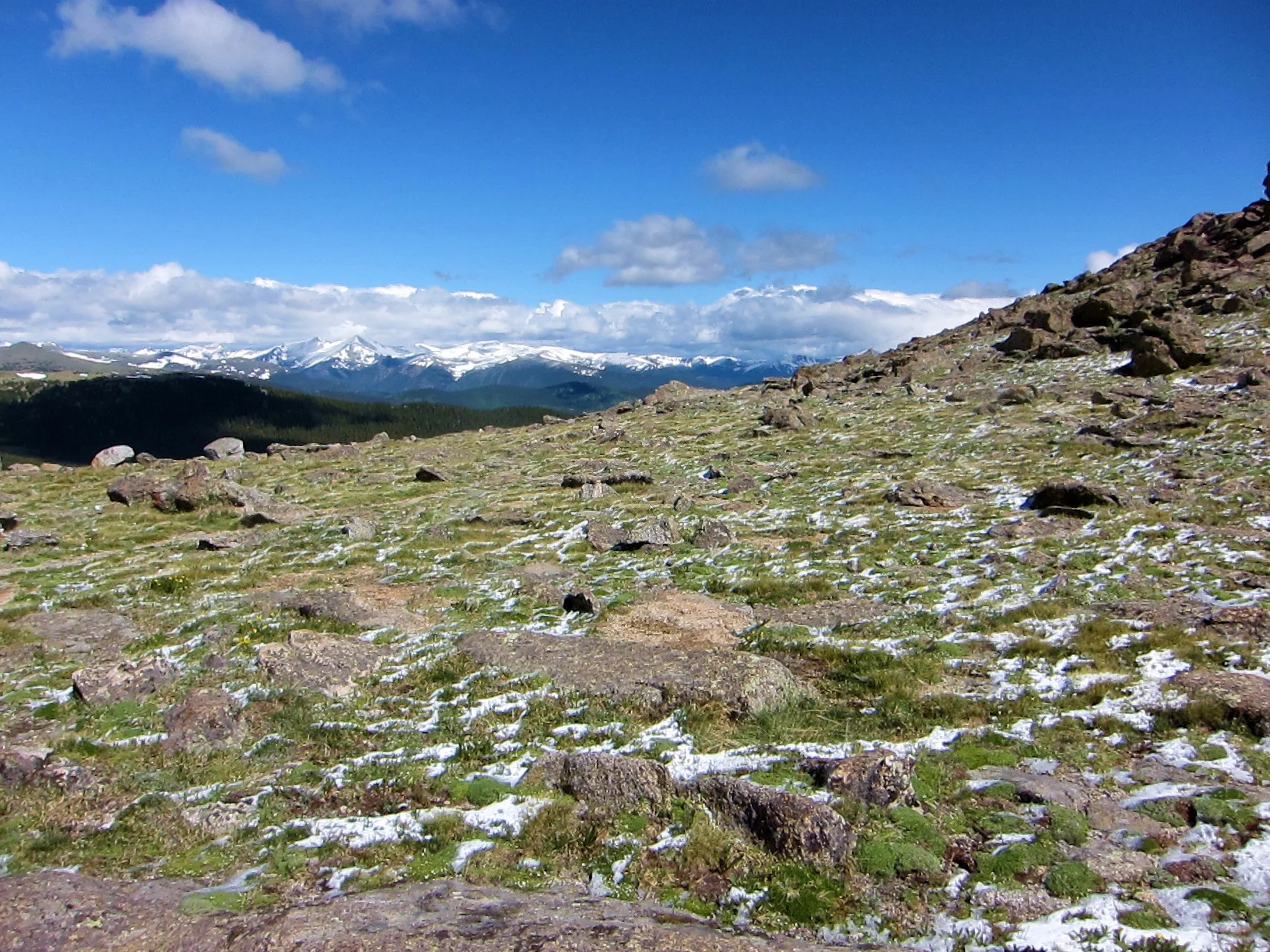 Alpine Region (26).JPG