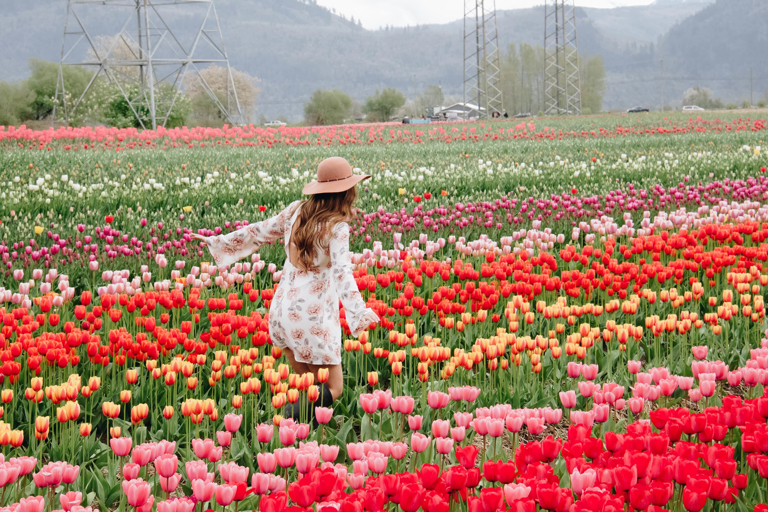 The Abbostford Tulip Festival ~ Photo: Bailey Marshall