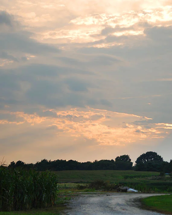 sunset1_web.jpg
