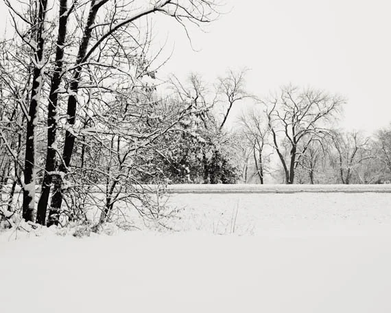 snow1 web.jpg