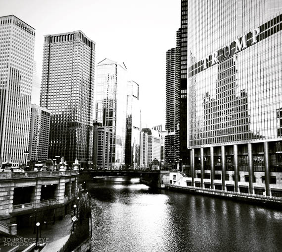 The Chicago River