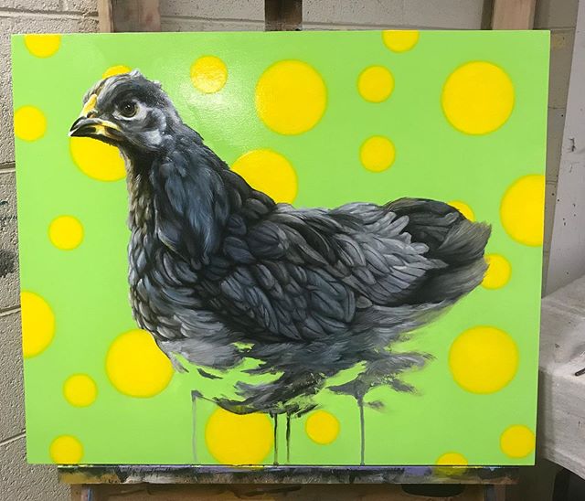 Cochin Pullet 20” x 22” oil on board. #karljahnke #chickenart #painting #chickenpainting #contemporaryart #acrylicpainting #oilpainting #art#artist #artwork #happypainting #chickenart